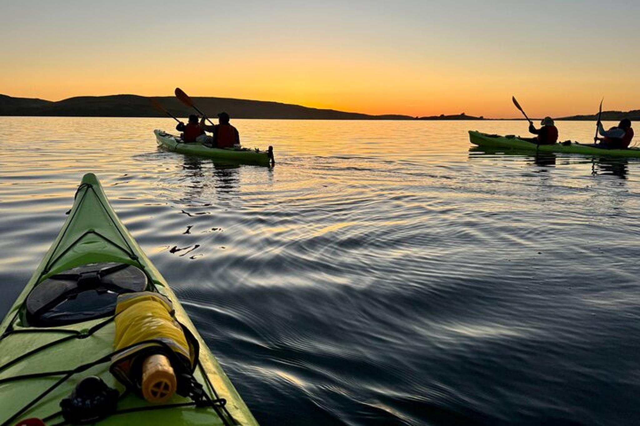 Point Reyes Sea Kayak Adventure - Image 2