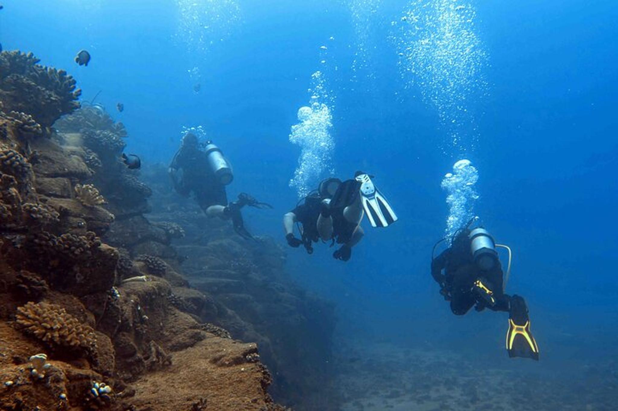 Kauai Scuba Charter for Certified Divers 4 hr - Image 5