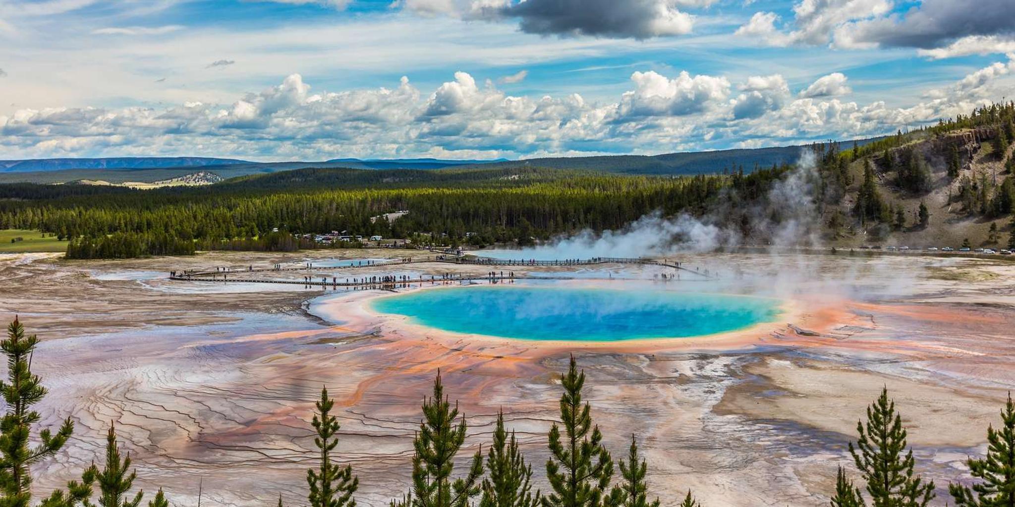 Jackson Wildlife Adventure in Yellowstone & Grand Teton 4-Day - Image 6