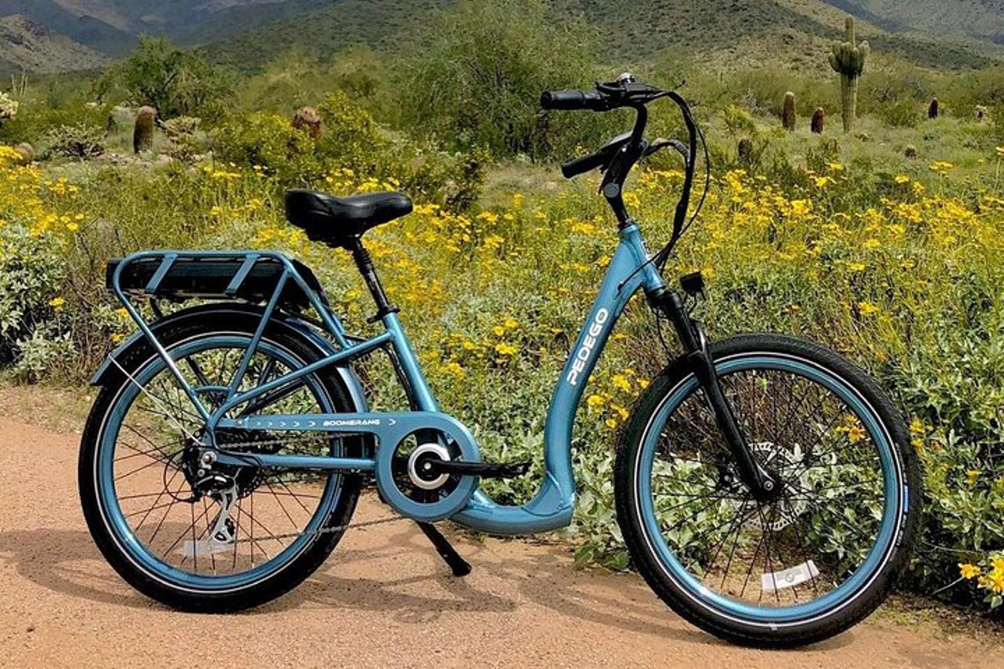 North Scottsdale Electric Bike Rental - Image 5