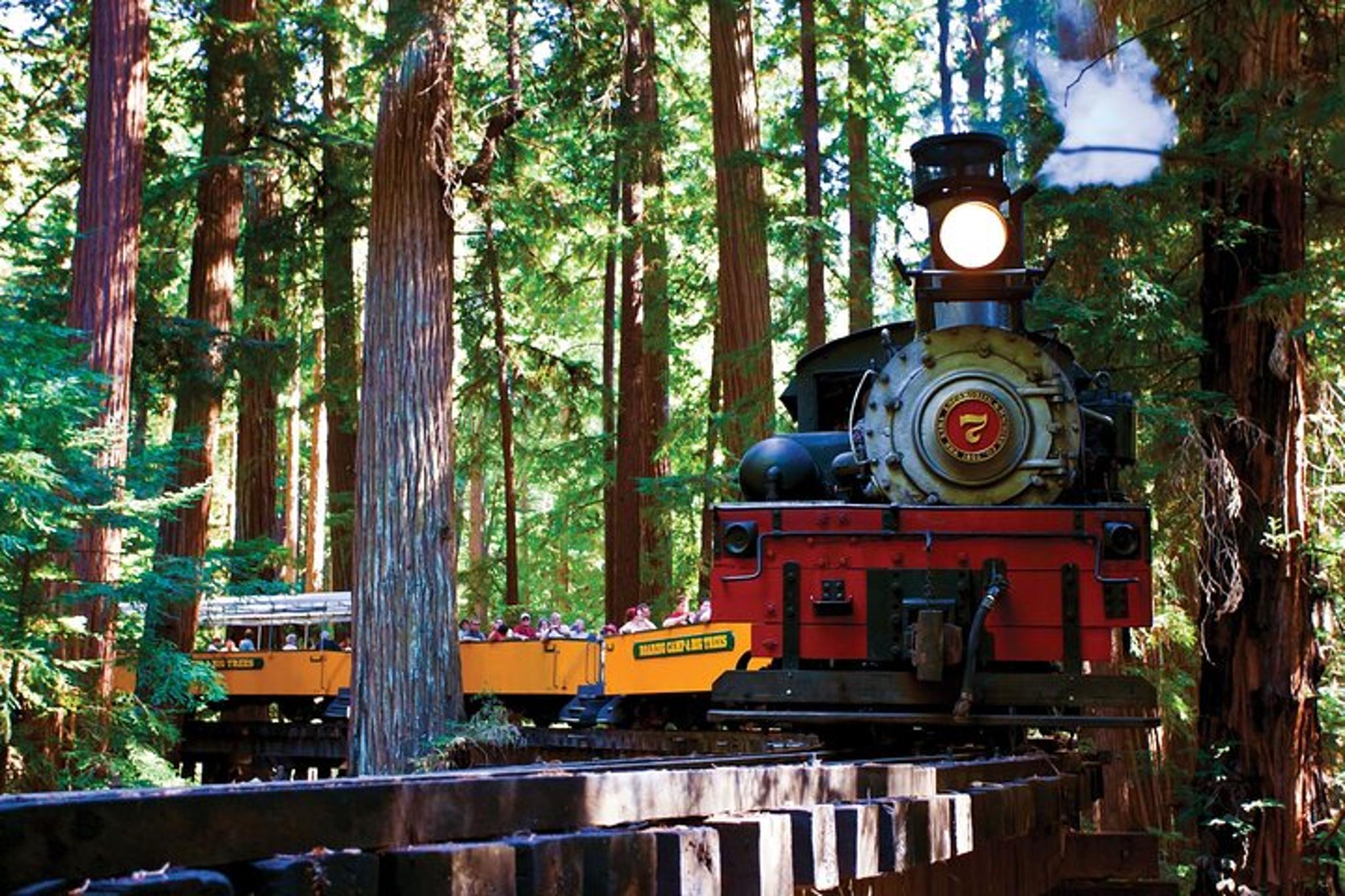 San Francisco to Oregon Redwood and Crater Lake 3-Day Tour