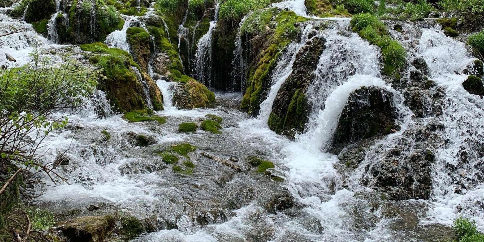 Rapid City Spearfish Canyon Private Tour 7.5 hr - Image 3