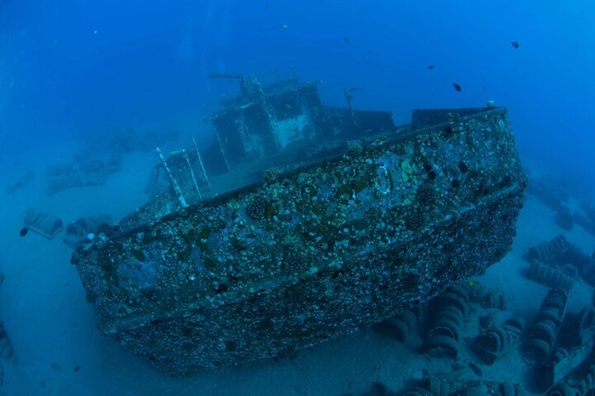 Maui 3-Tank Dive at Molokini Crater - Image 6