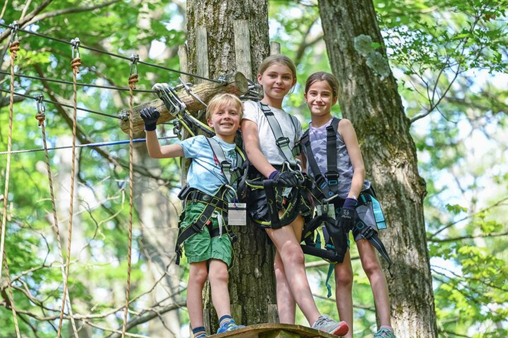 Bristol Mountain Aerial Adventure Park Admission - Image 4
