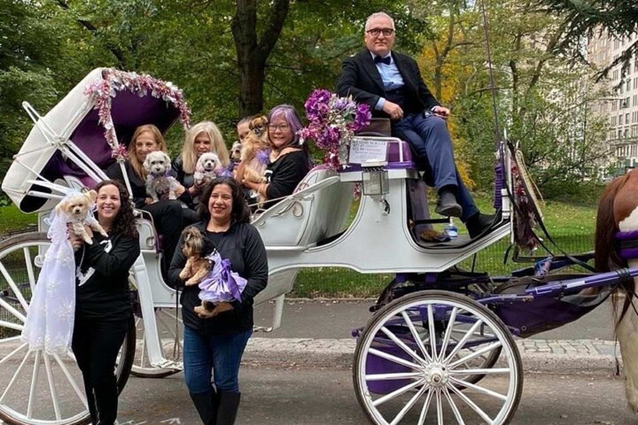 New York Central Park Horse Carriage Ride 45 Min - Image 5
