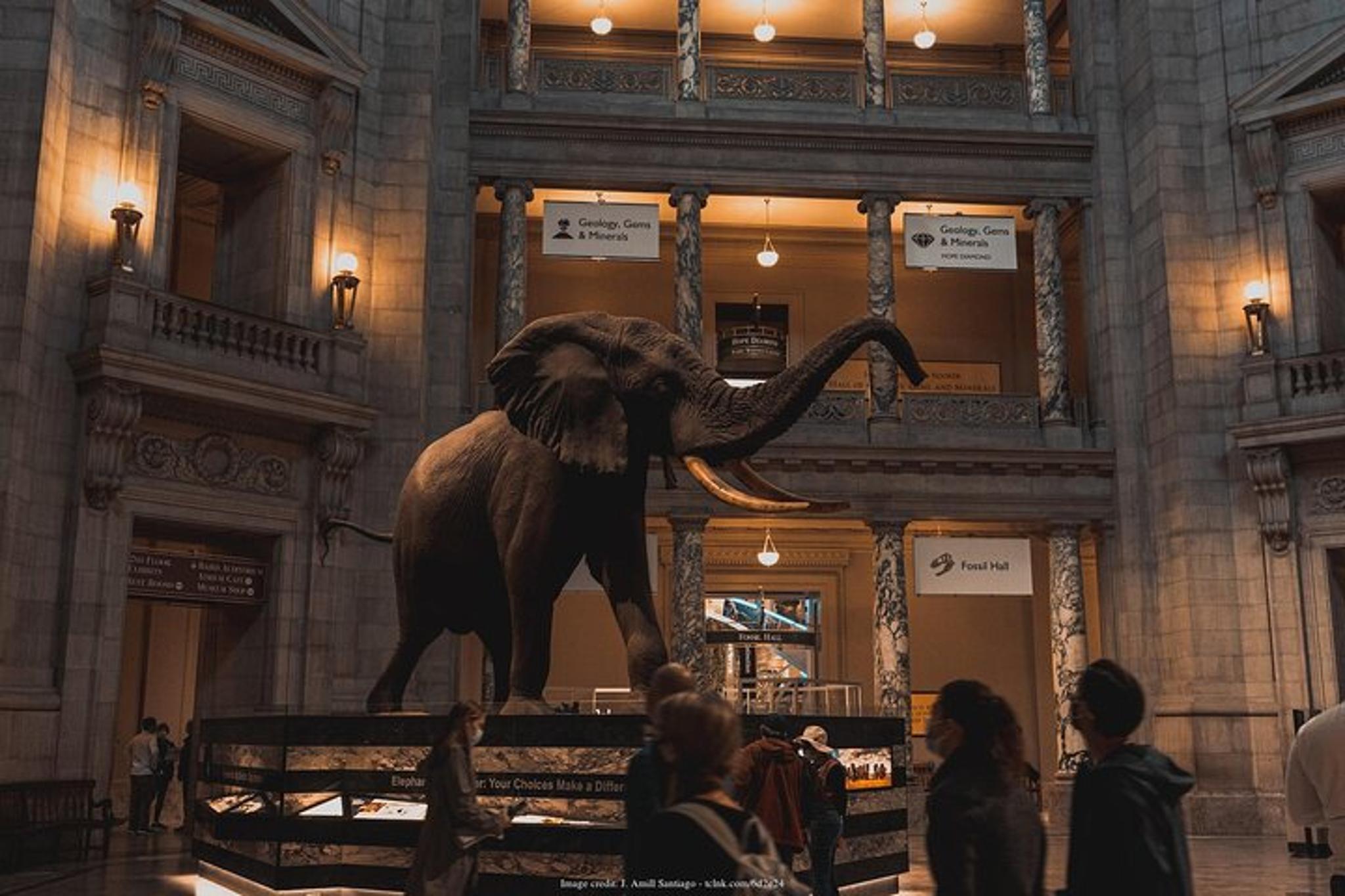 Washington DC Smithsonian Museums Private Tour - Image 2