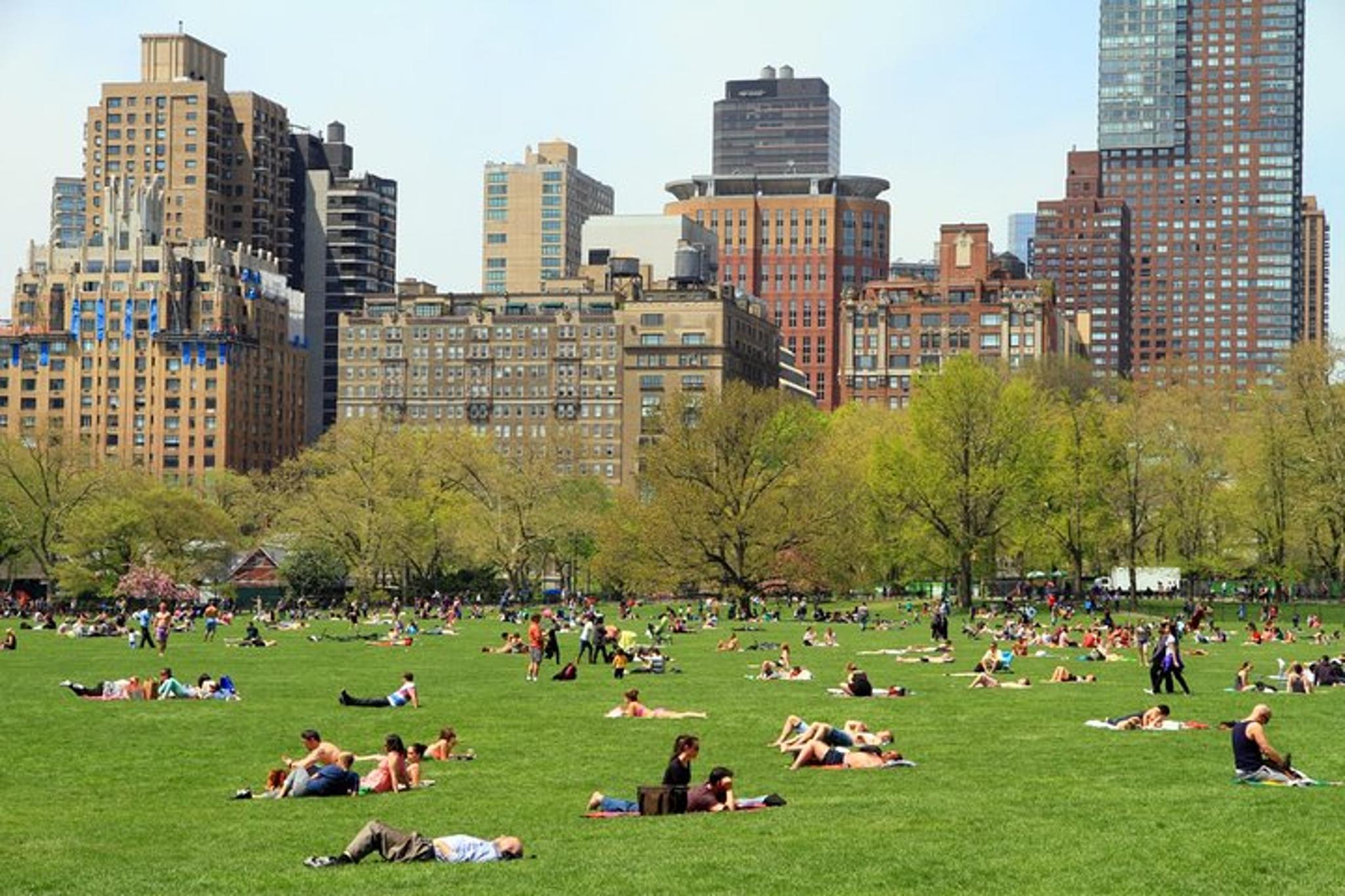 New York Central Park Walking Tour - Image 3