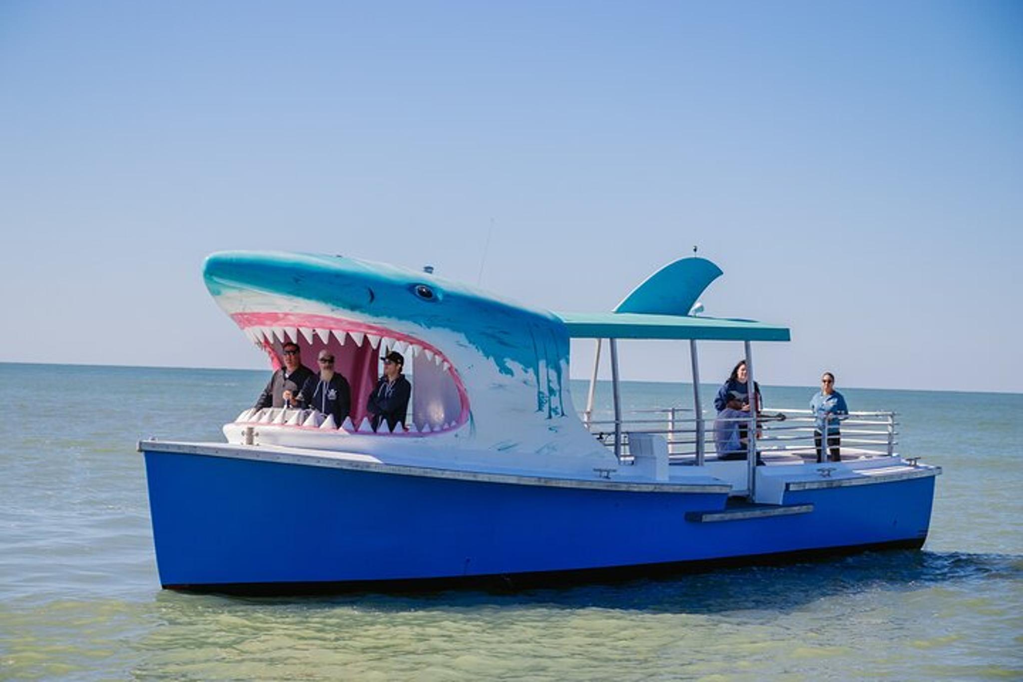 Madeira Beach Dolphin Sightseeing Cruise 1 hr - Image 3