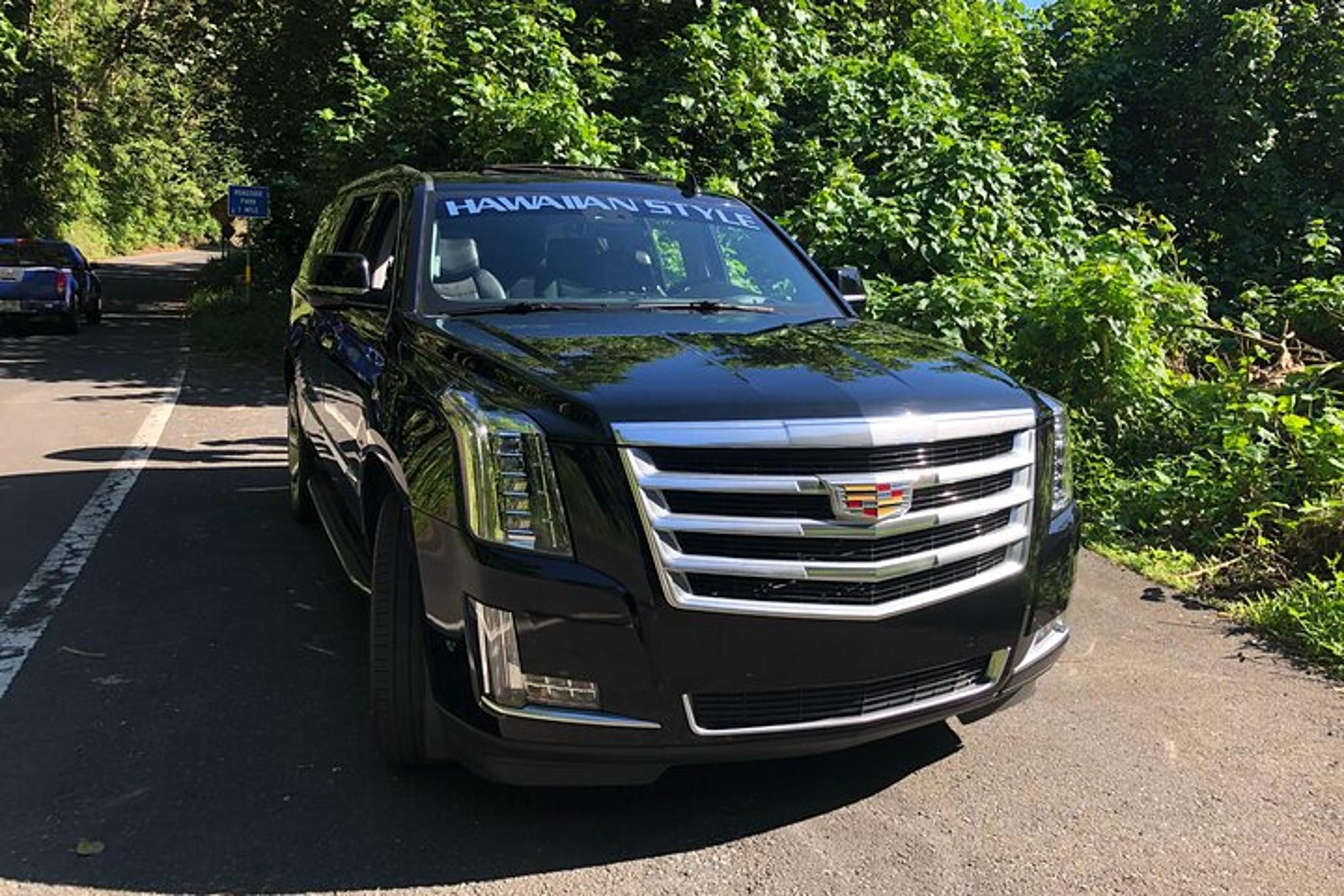 Maui Road to Hana Private Tour - Image 3