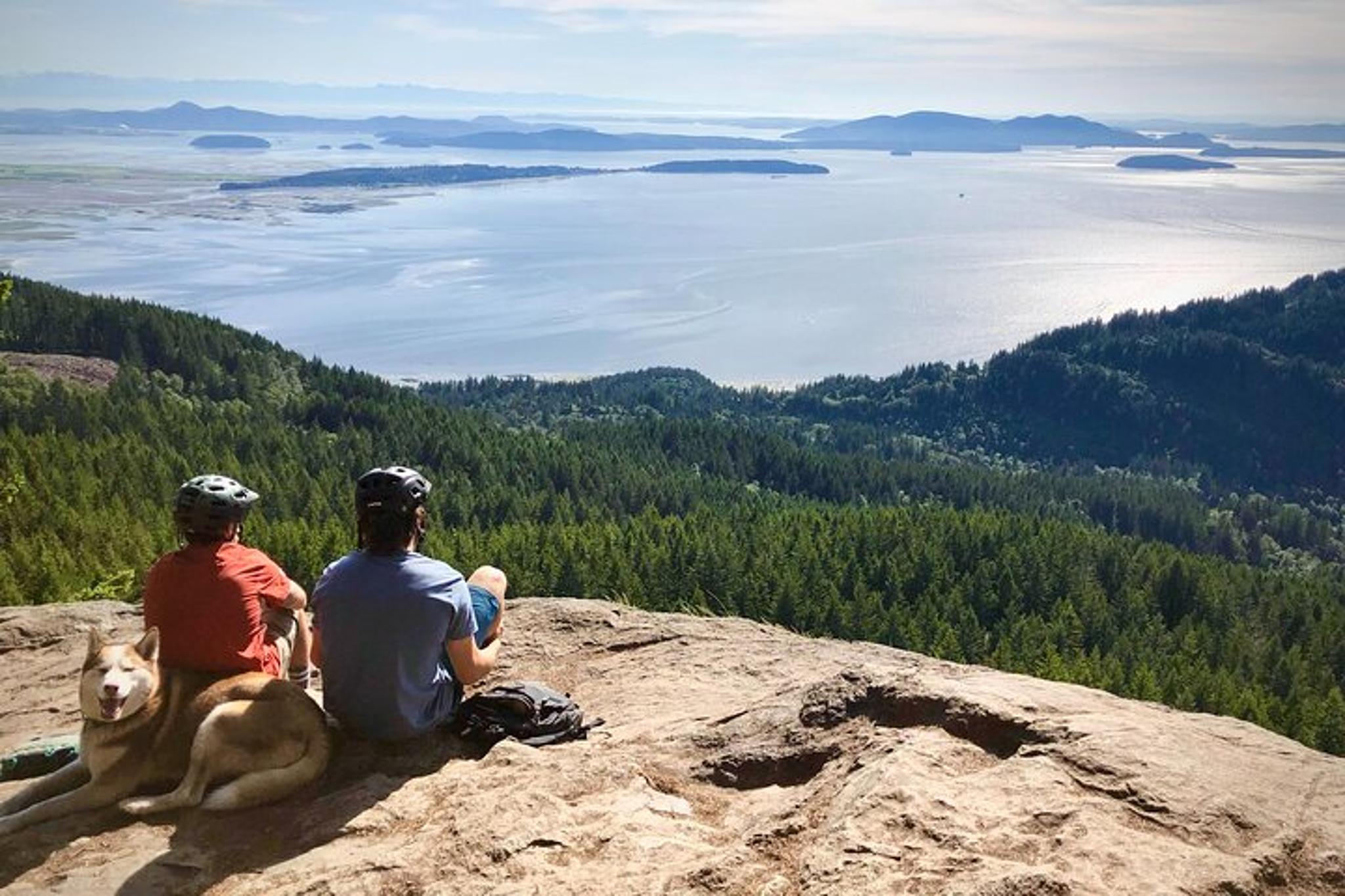 Bellingham Mountain Bike Tour Half-Day - Image 6
