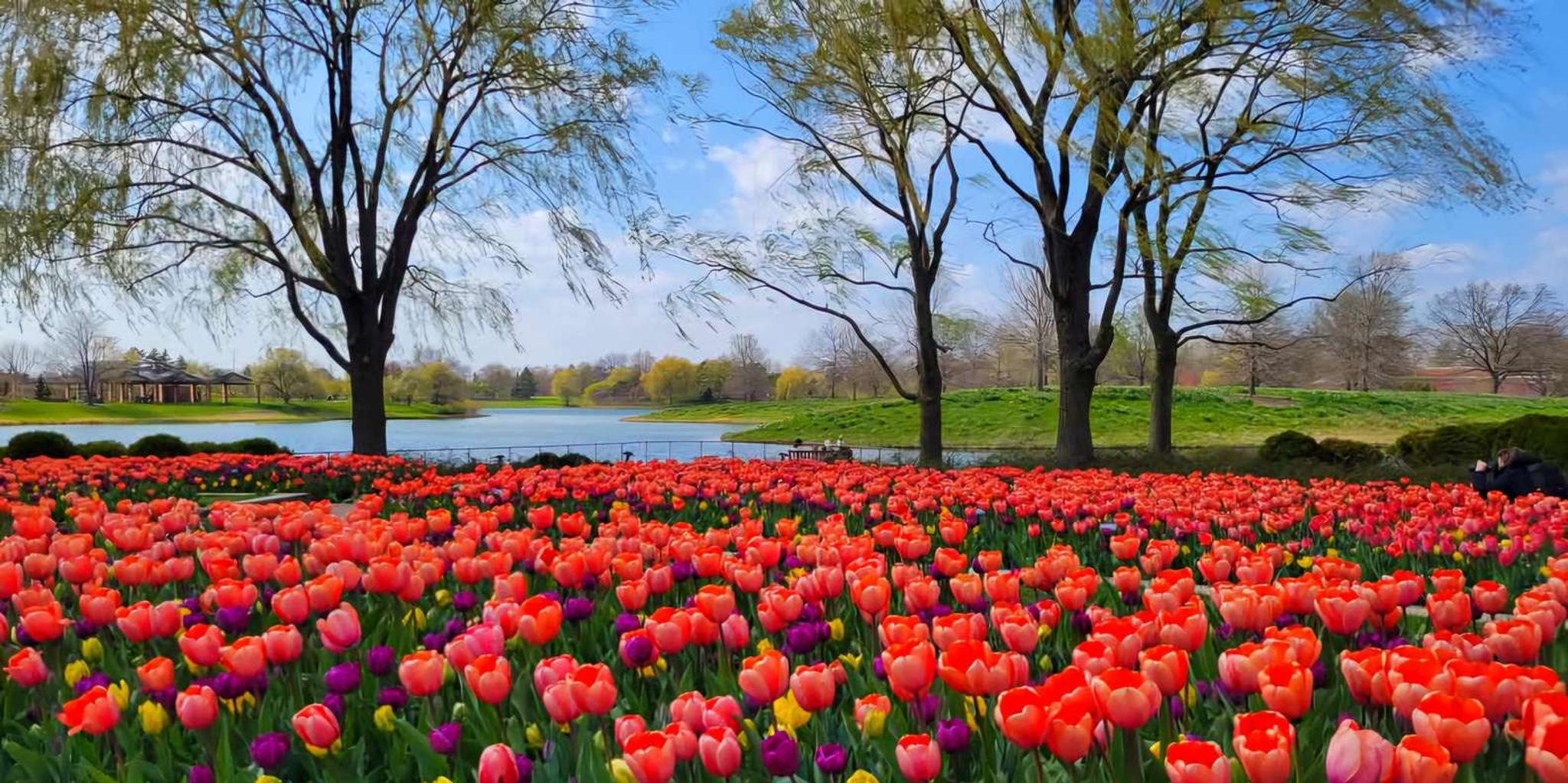 Chicago Suburbs Hidden Gems Tour - Image 1