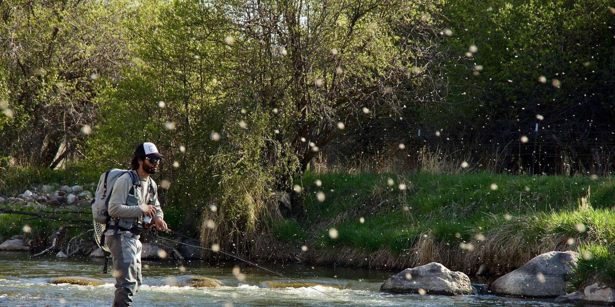 Heber Valley Fly Fishing Experience