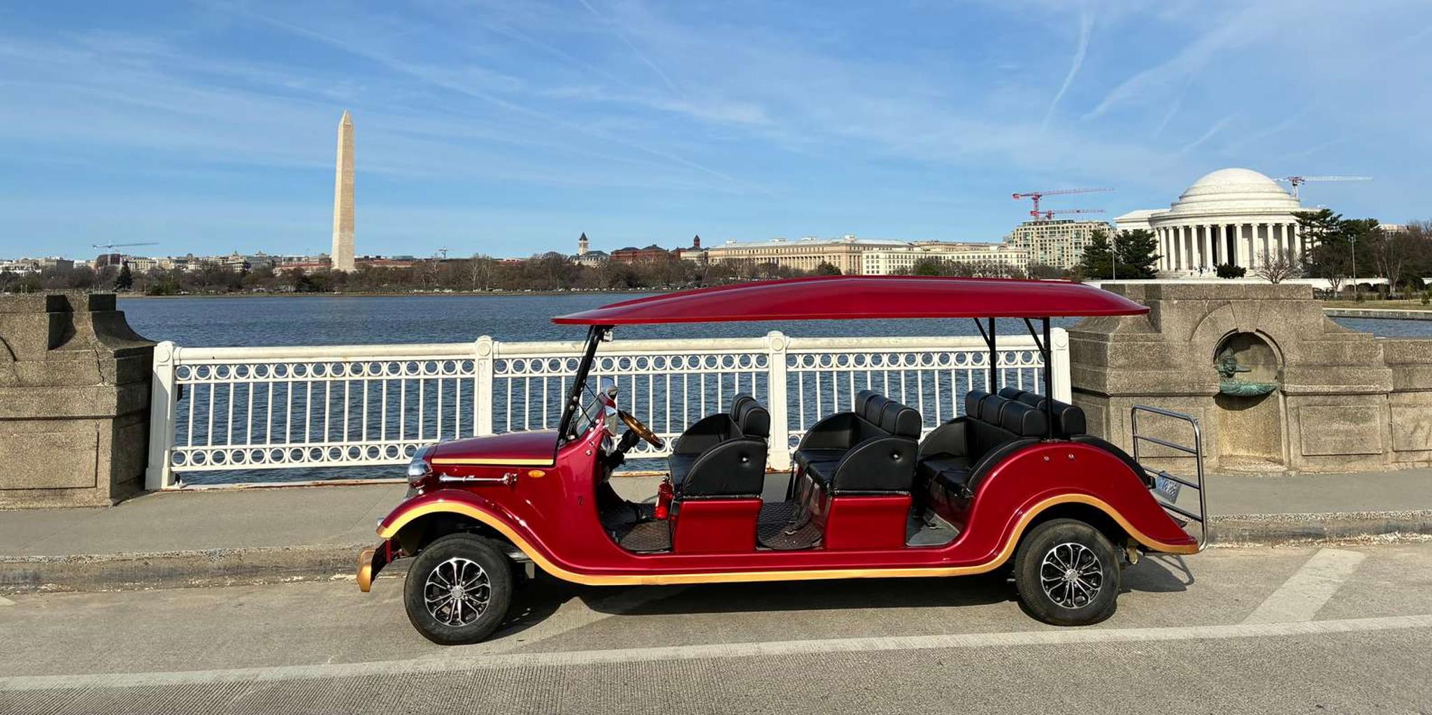 Washington DC Monuments Cherry Blossom Tour 2 hr - Image 2