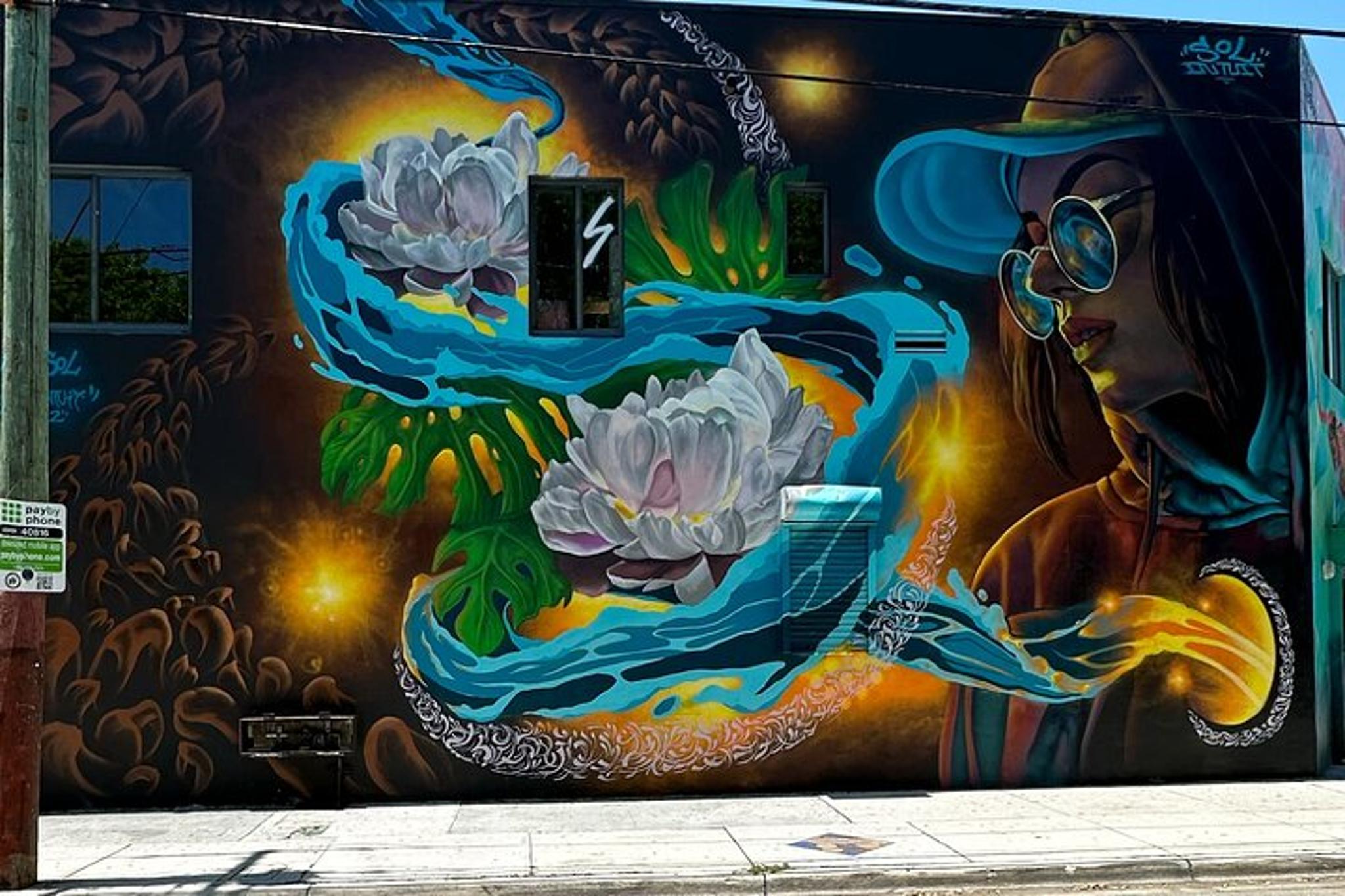 Miami Street Art Tour in Wynwood 1 hr - Image 5
