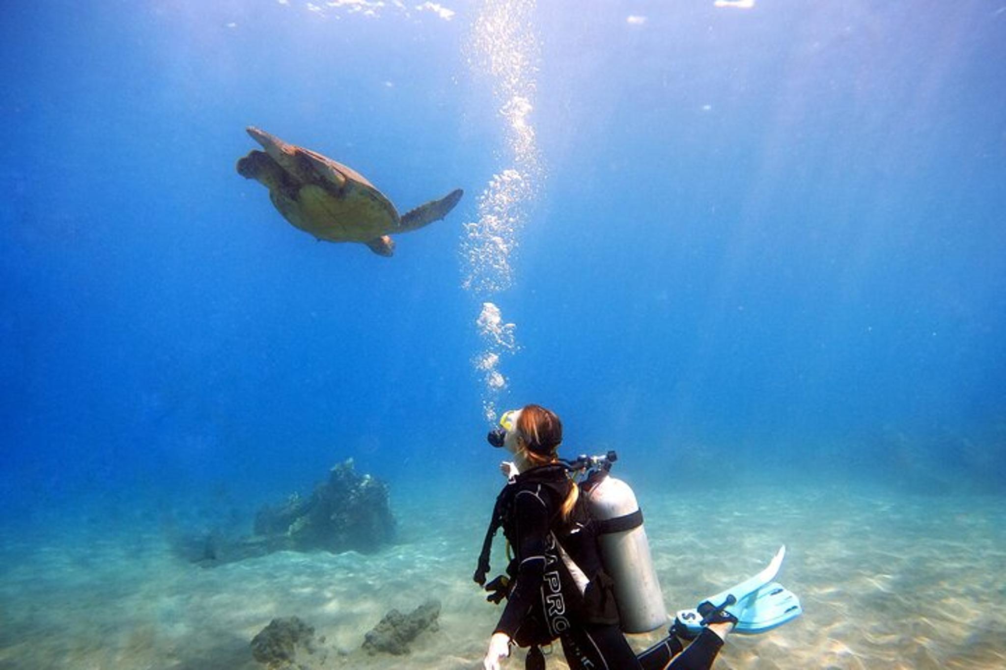 Maui Scuba Diving Experience - Image 3