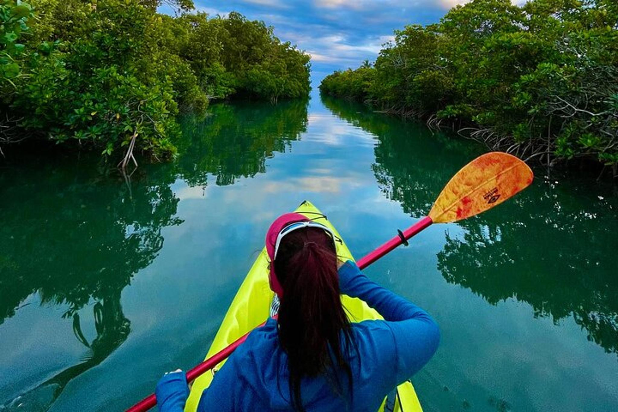 Key West Clear Kayak Rental Discover Mangroves 2 hr - Image 4
