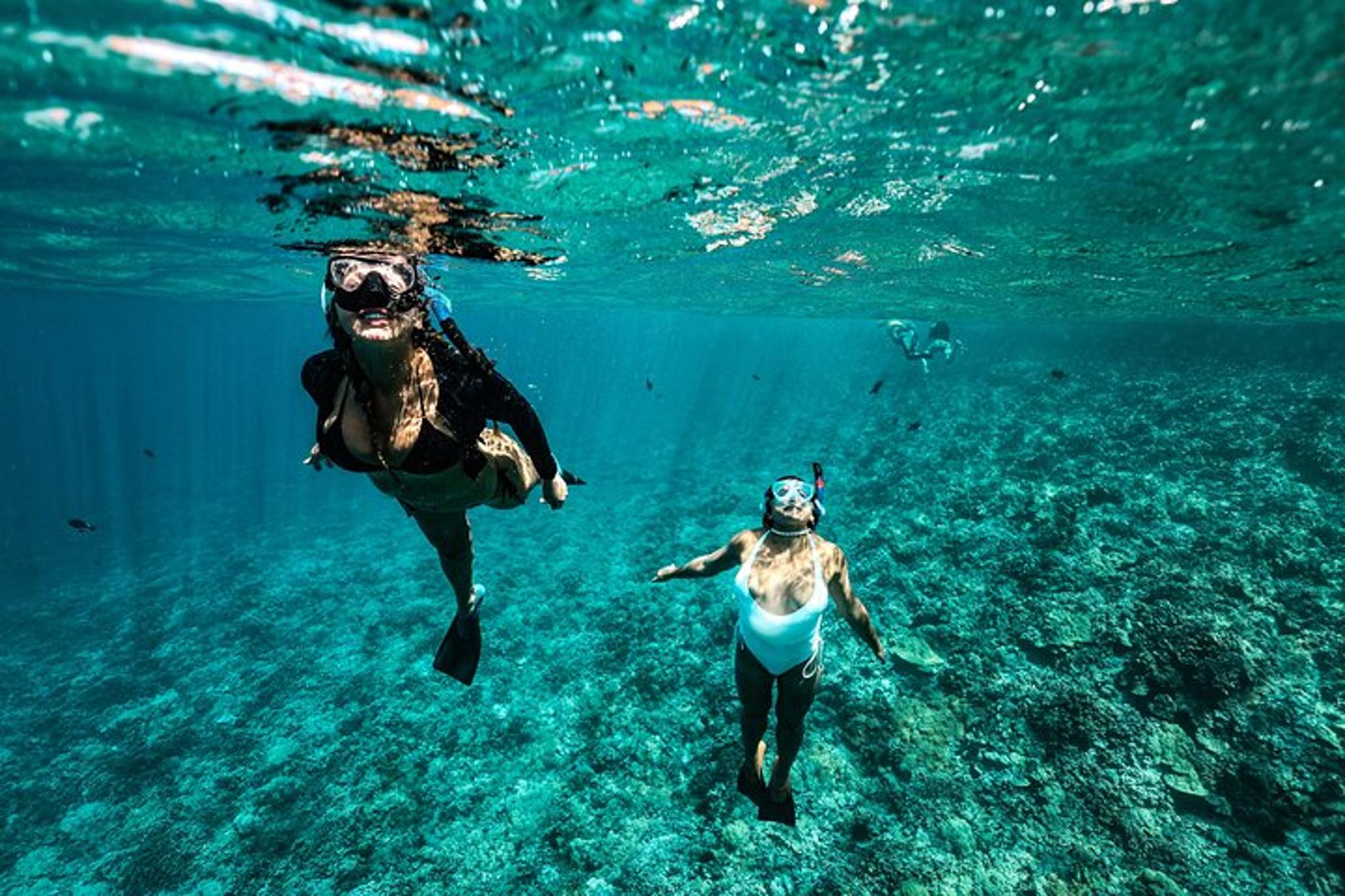 Maui Coral Gardens Snorkel & Waterslide Adventure - Image 5