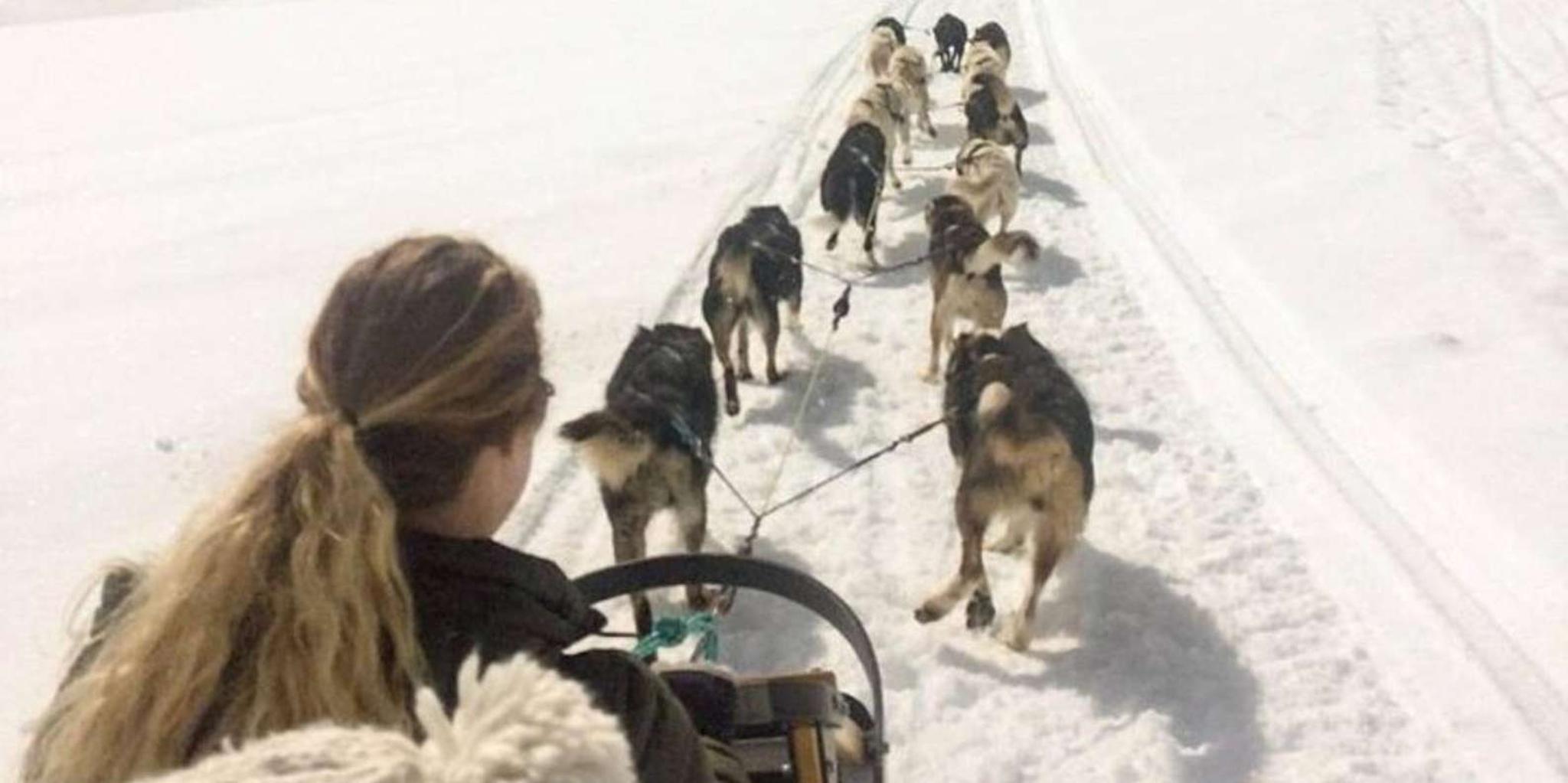 Anchorage Dog Sledding & Animal Adventure - Image 5