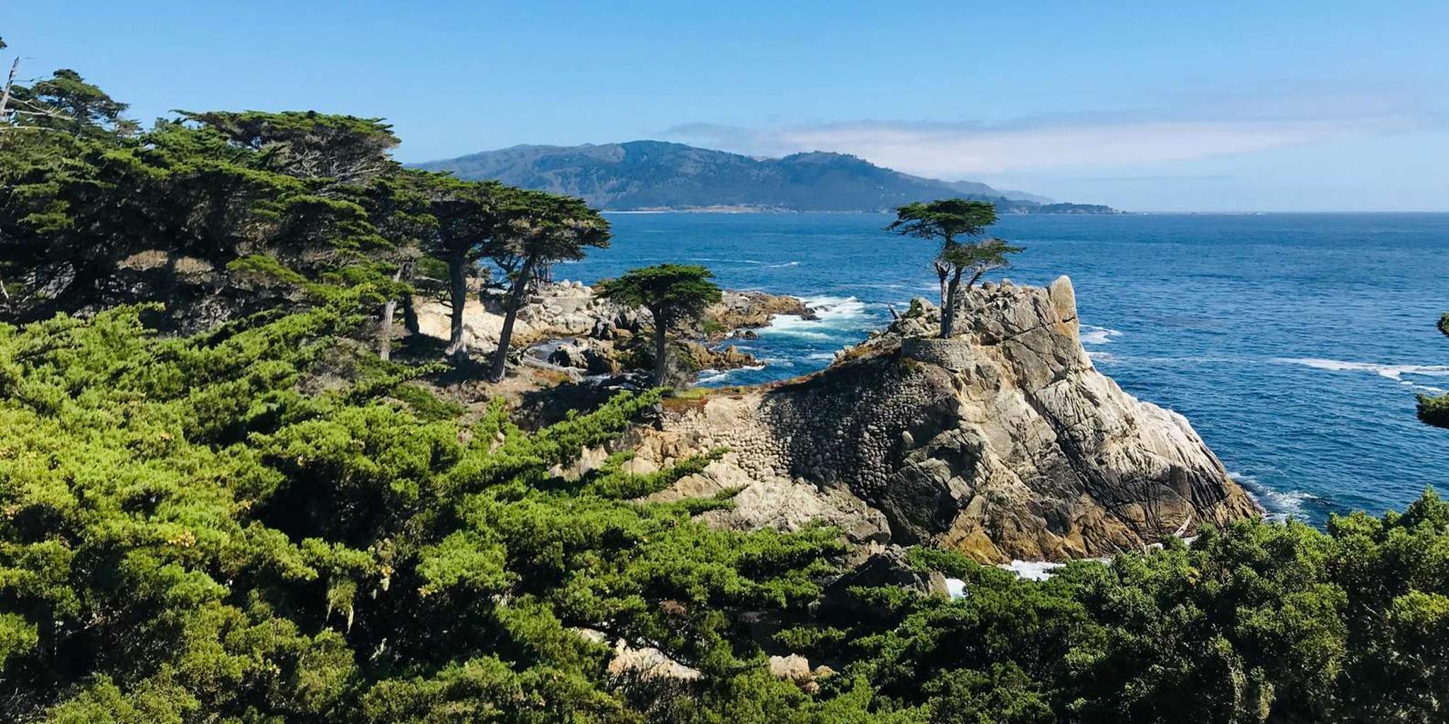 San Francisco & Yosemite 3-Day Tour from Los Angeles - Image 5