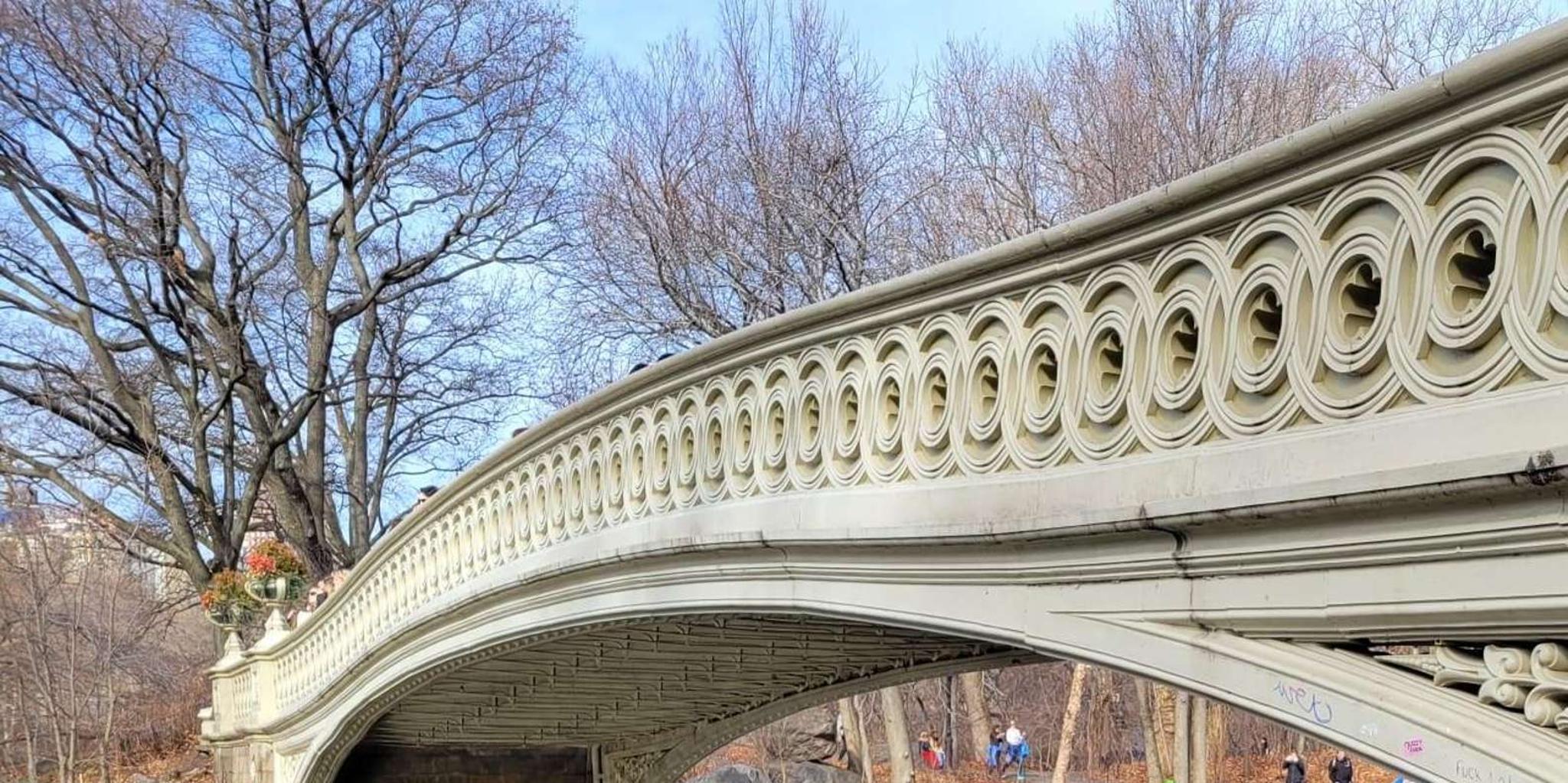 New York Central Park Pedicab Tour