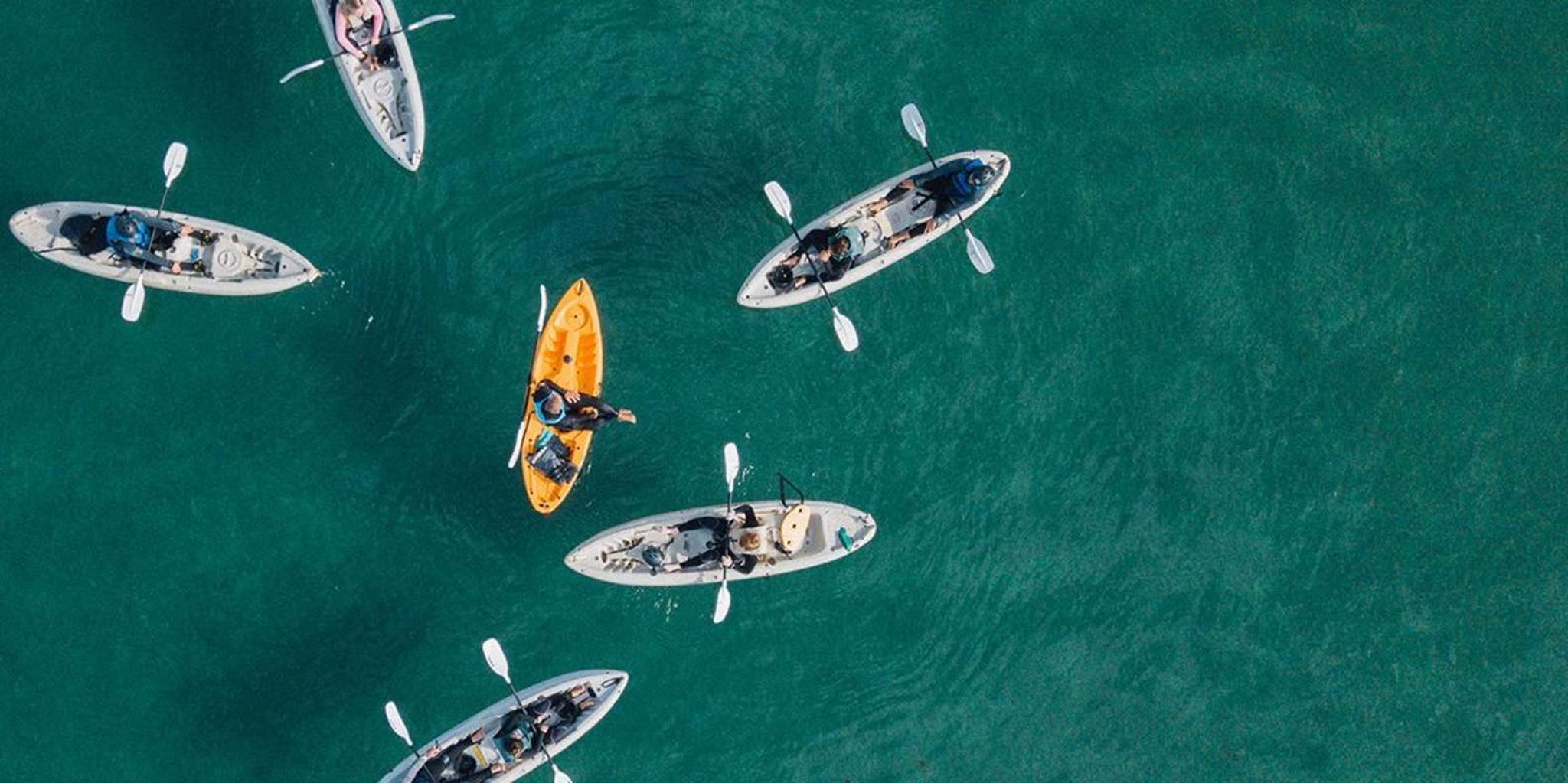 La Jolla Sea Cave Kayak Tour - Image 5