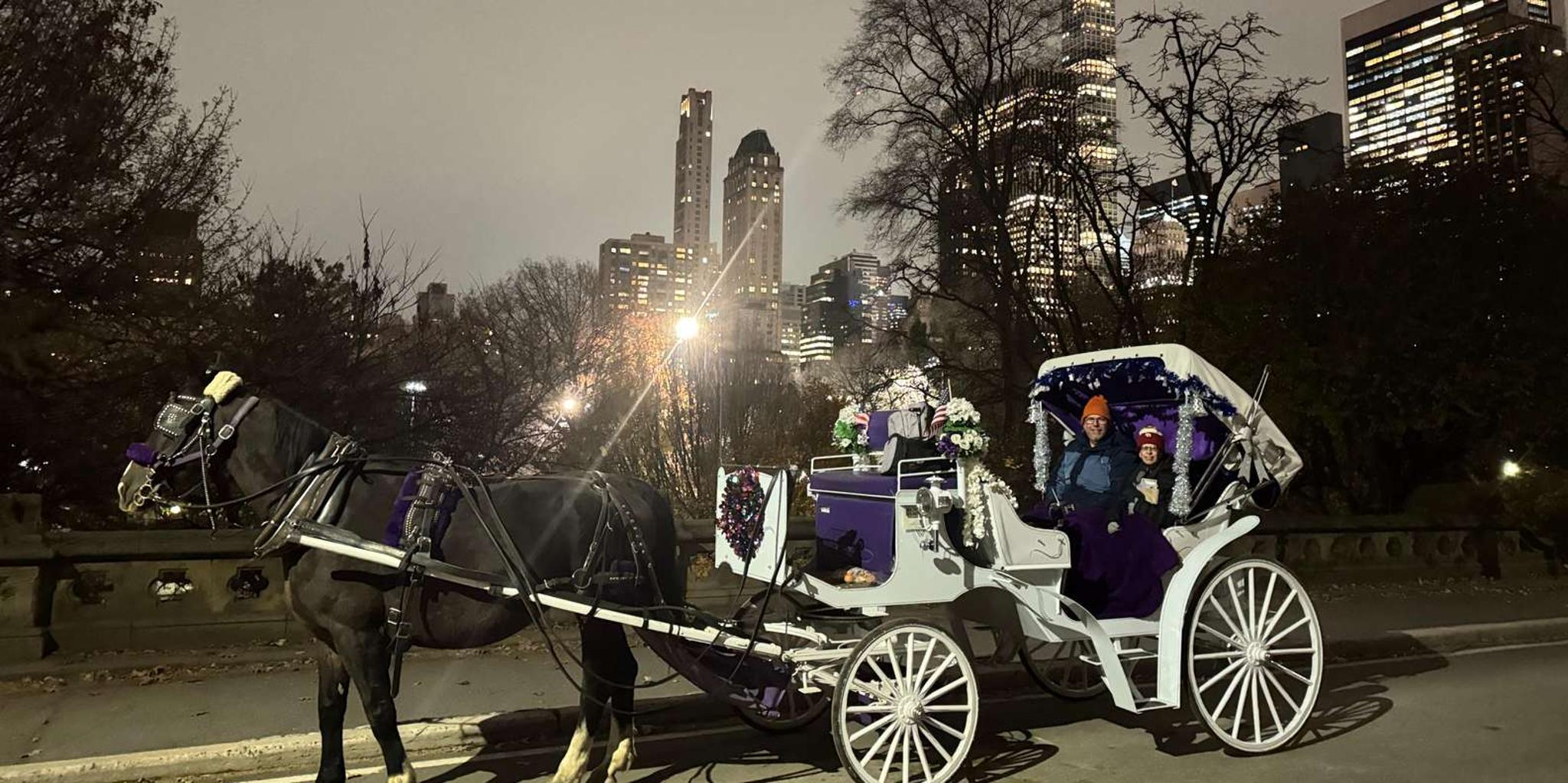 New York City Central Park Horse Carriage Tour - Image 5
