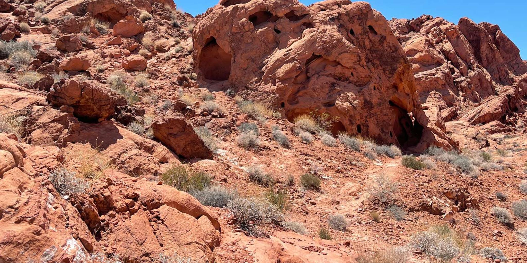 Las Vegas Valley of Fire State Park Tour - Image 6