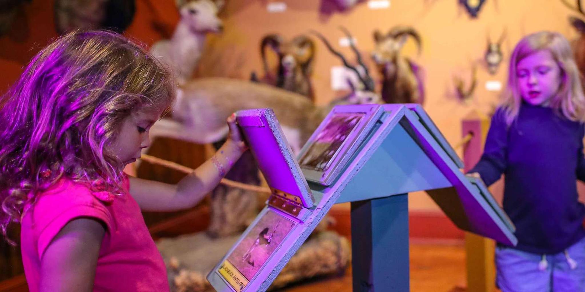 San Antonio Buckhorn Saloon & Texas Ranger Museum Entry - Image 4