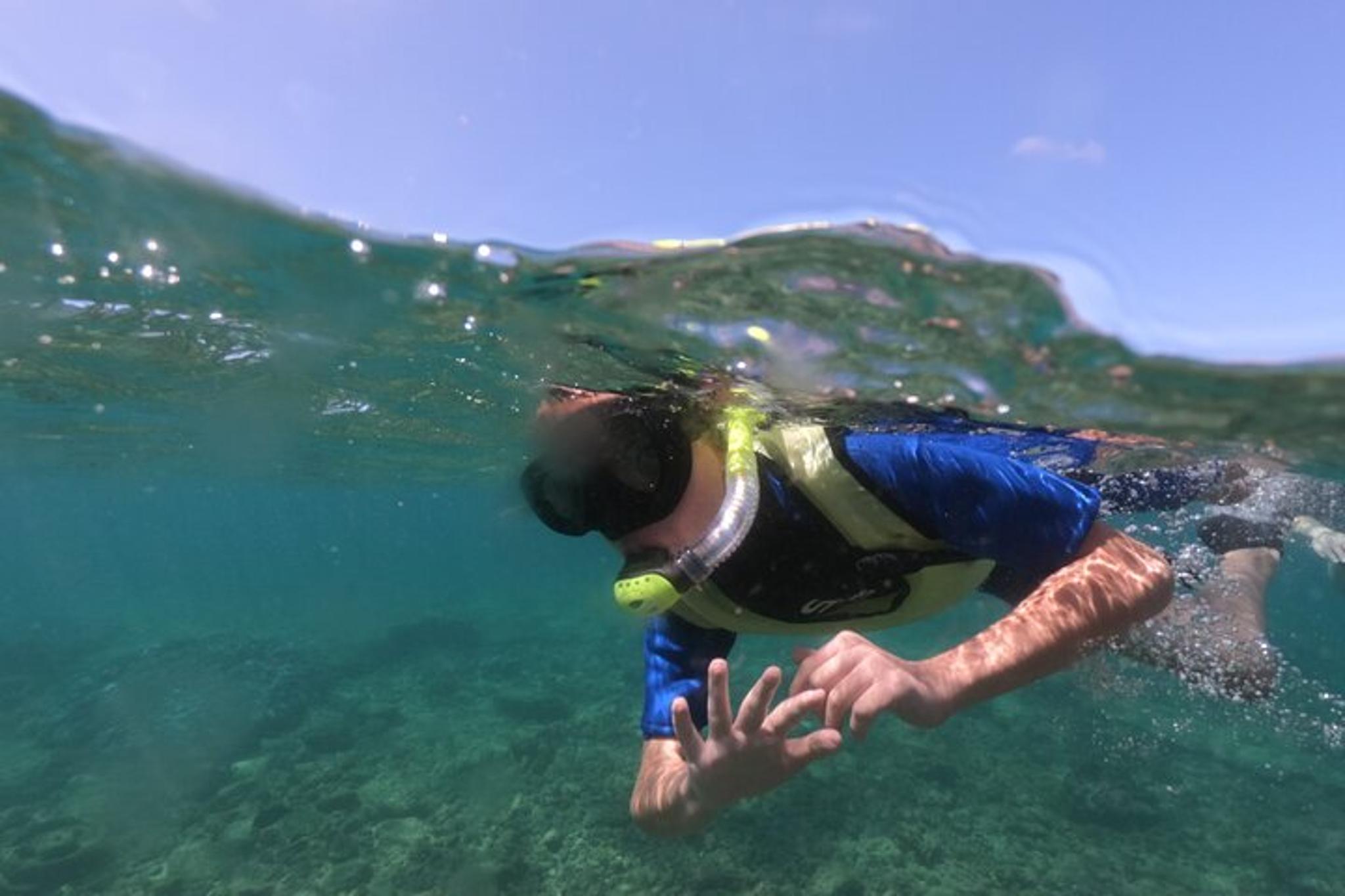 Kauai Shore Snorkel at Anini Beach 90 min - Image 5