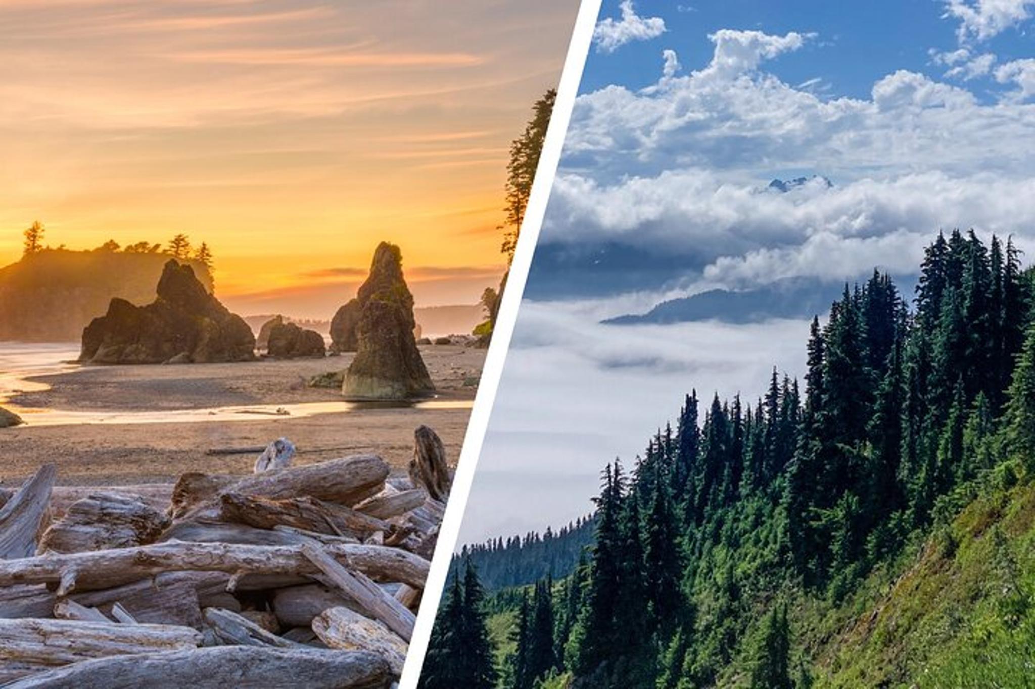 Port Angeles Backpacking Adventure in Olympic National Park 6-Day - Image 2