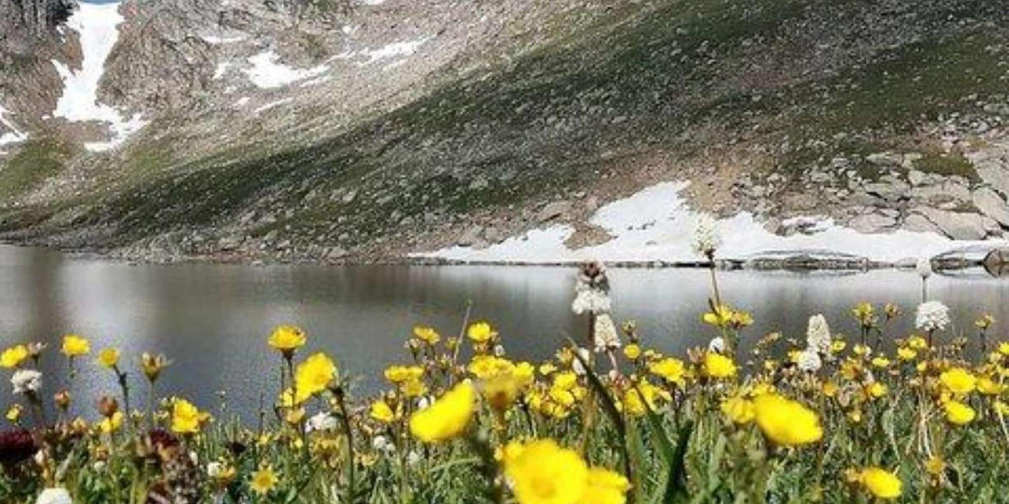 Denver Mount Evans Scenic Byway Tour - Image 3