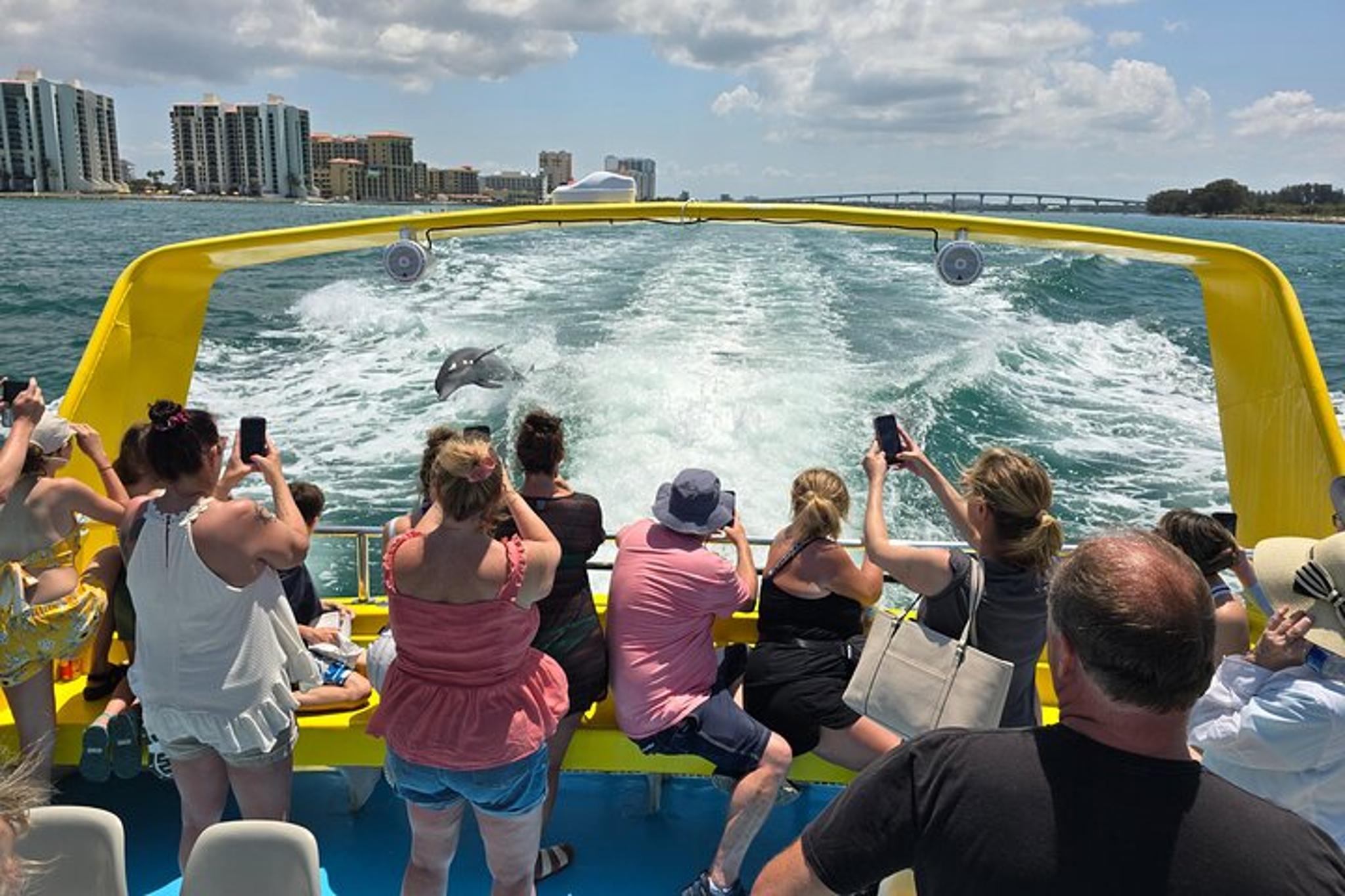 Clearwater Dolphin Watching Speed Boat Tour - Image 4