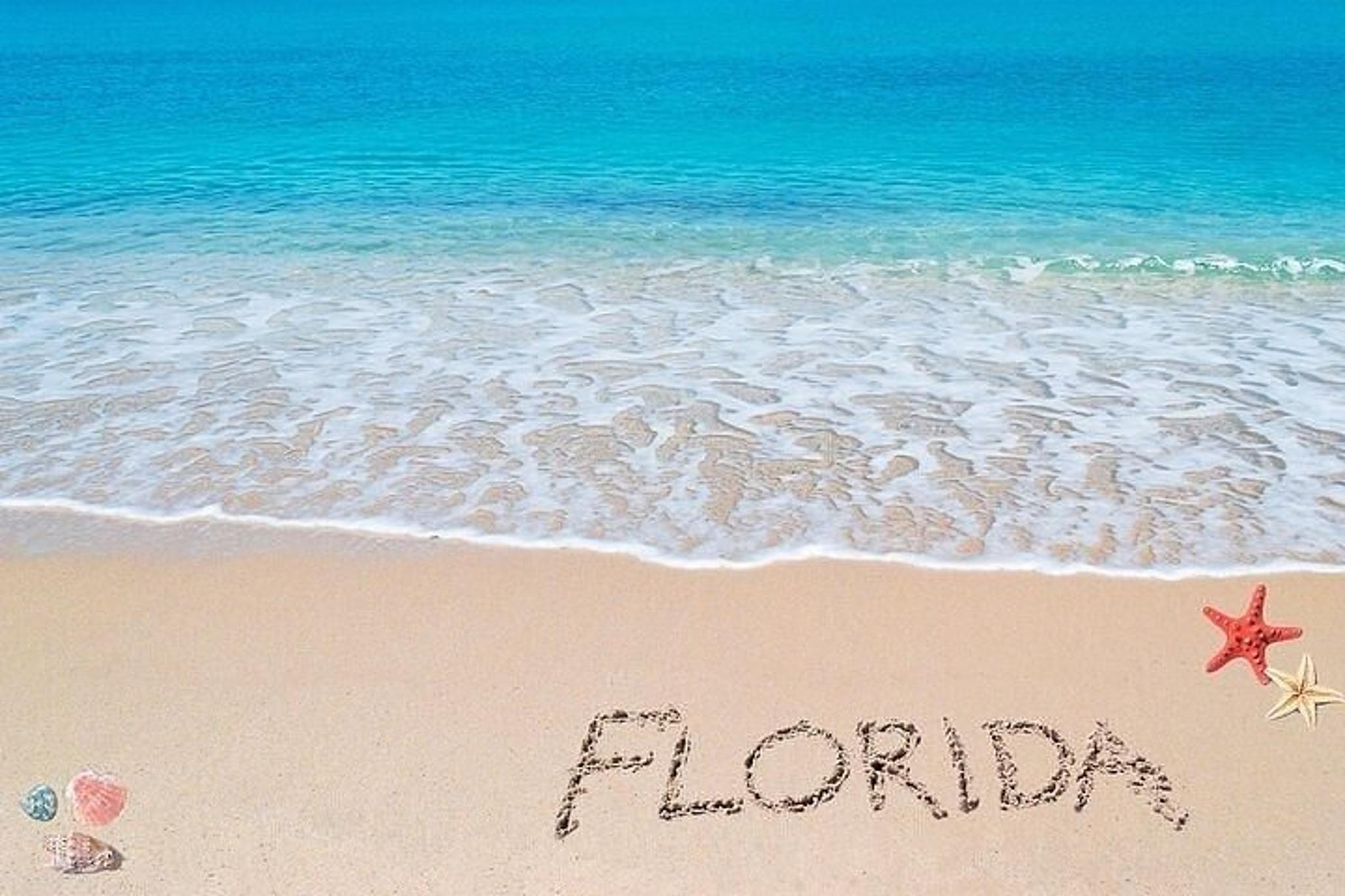 Sarasota Private Transportation - Image 5