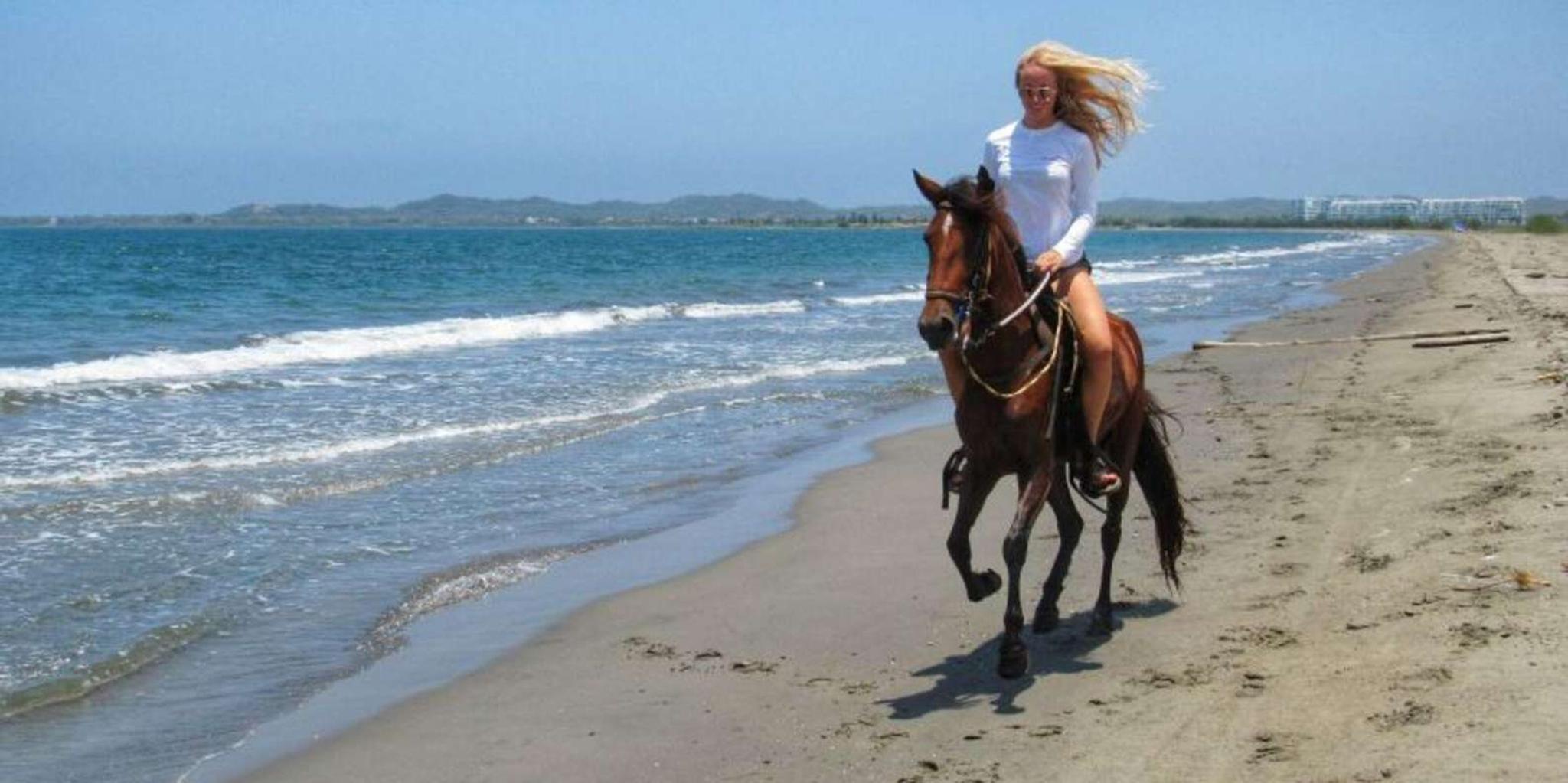 Miami Beach Horse Ride and Nature Trail - Image 6
