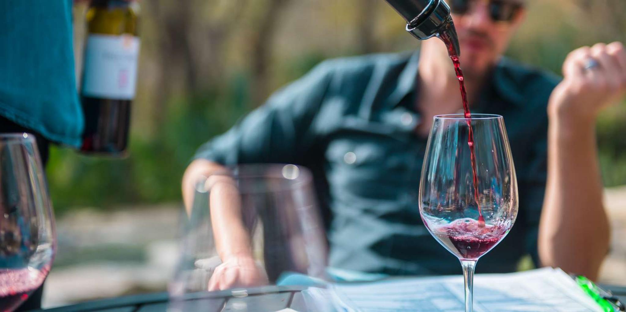 Austin Hill Country Wine Shuttle - Image 3