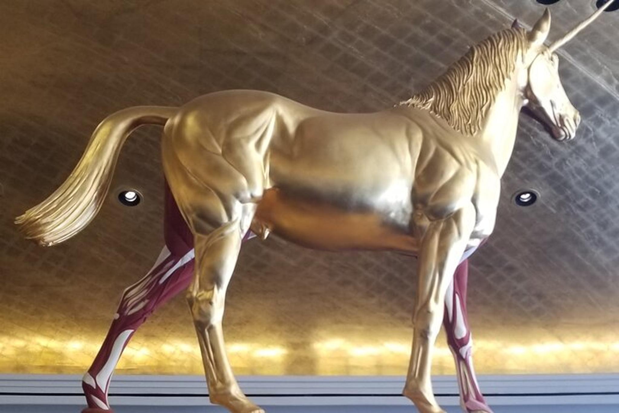 Miami Sightseeing Tour in a Minivan - Image 5