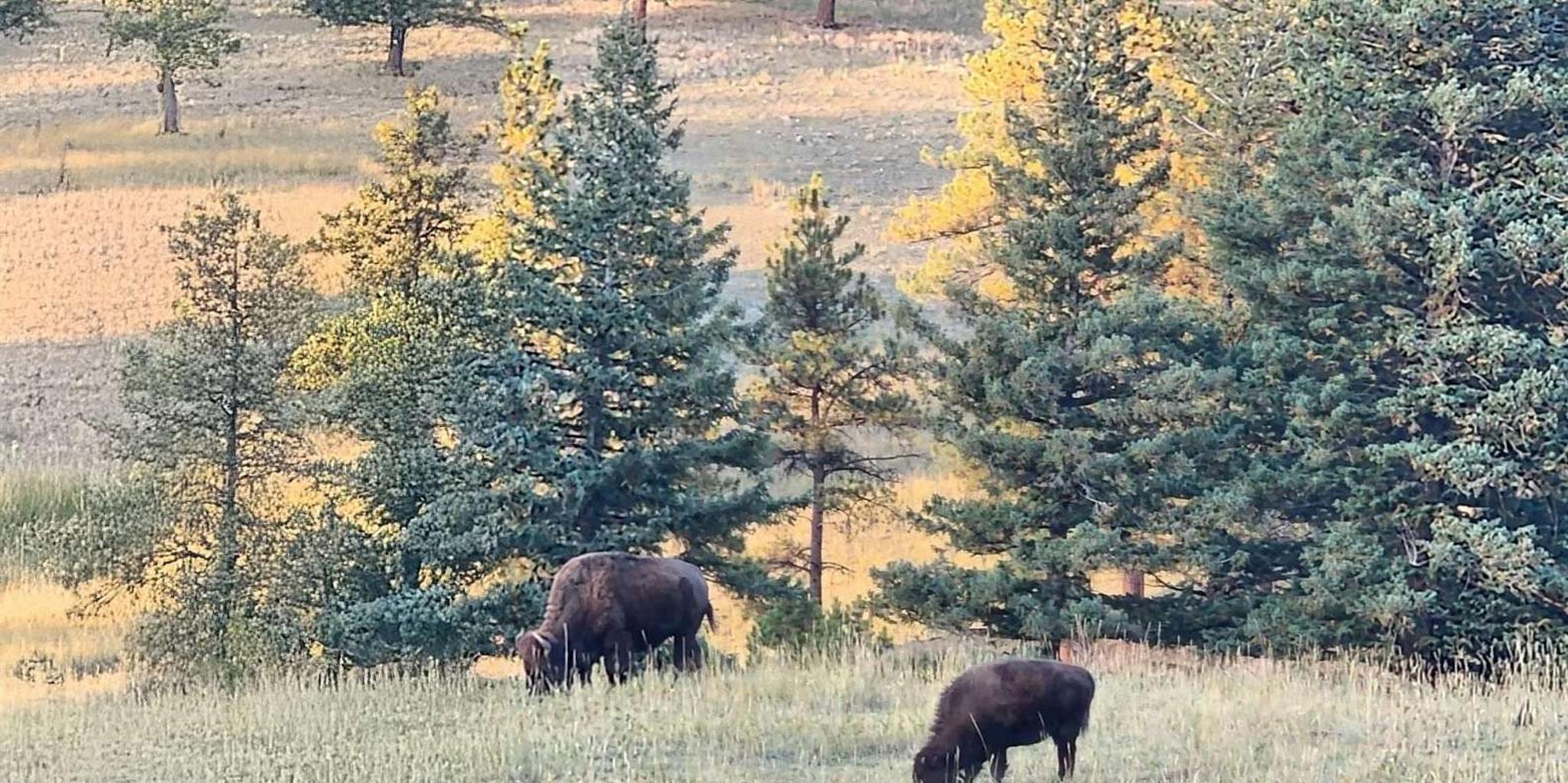 Denver Mountain Tour with Sunset Views - Image 4