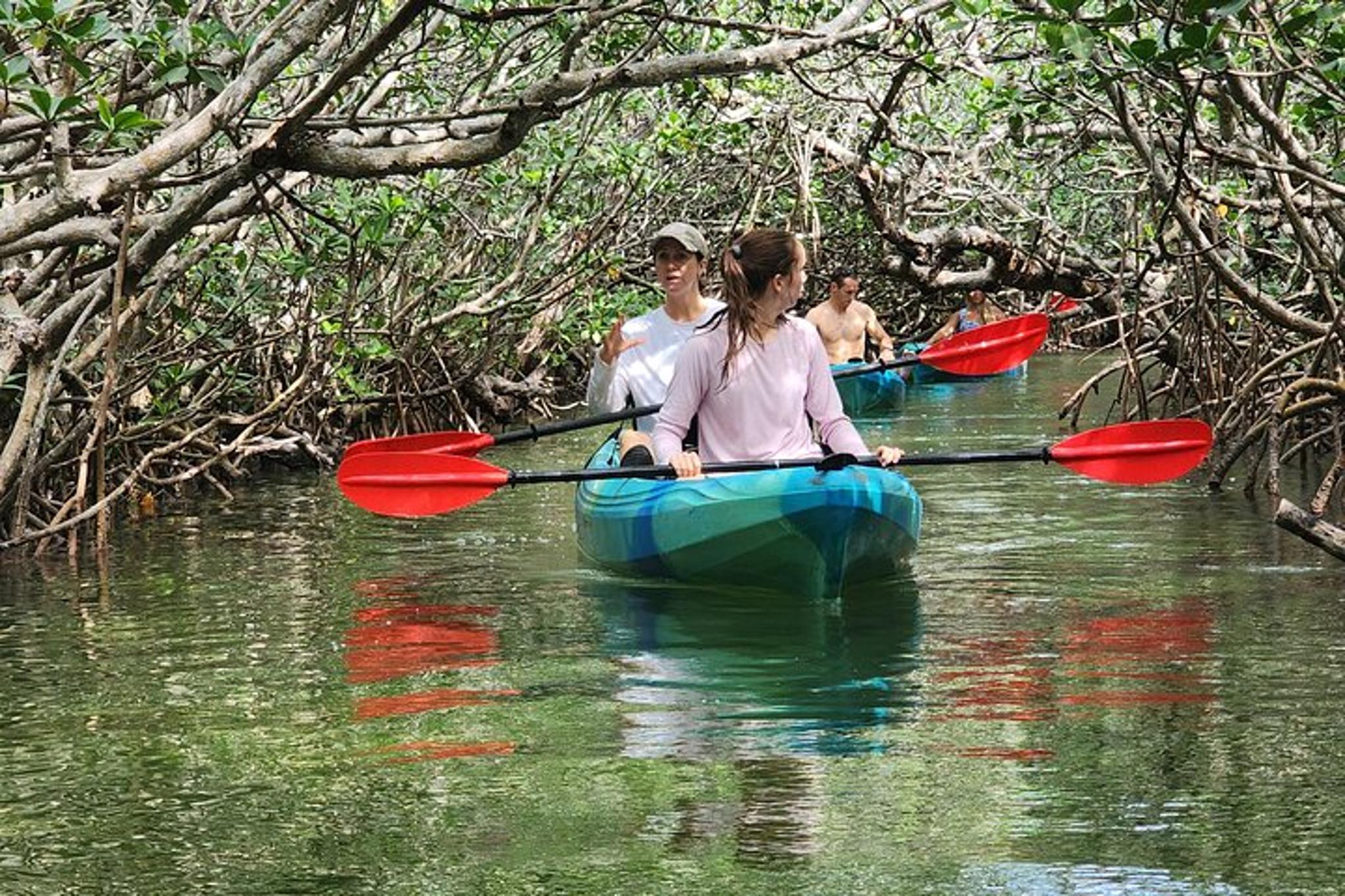 Florida Keys Mangrove Kayak Tour - Image 4