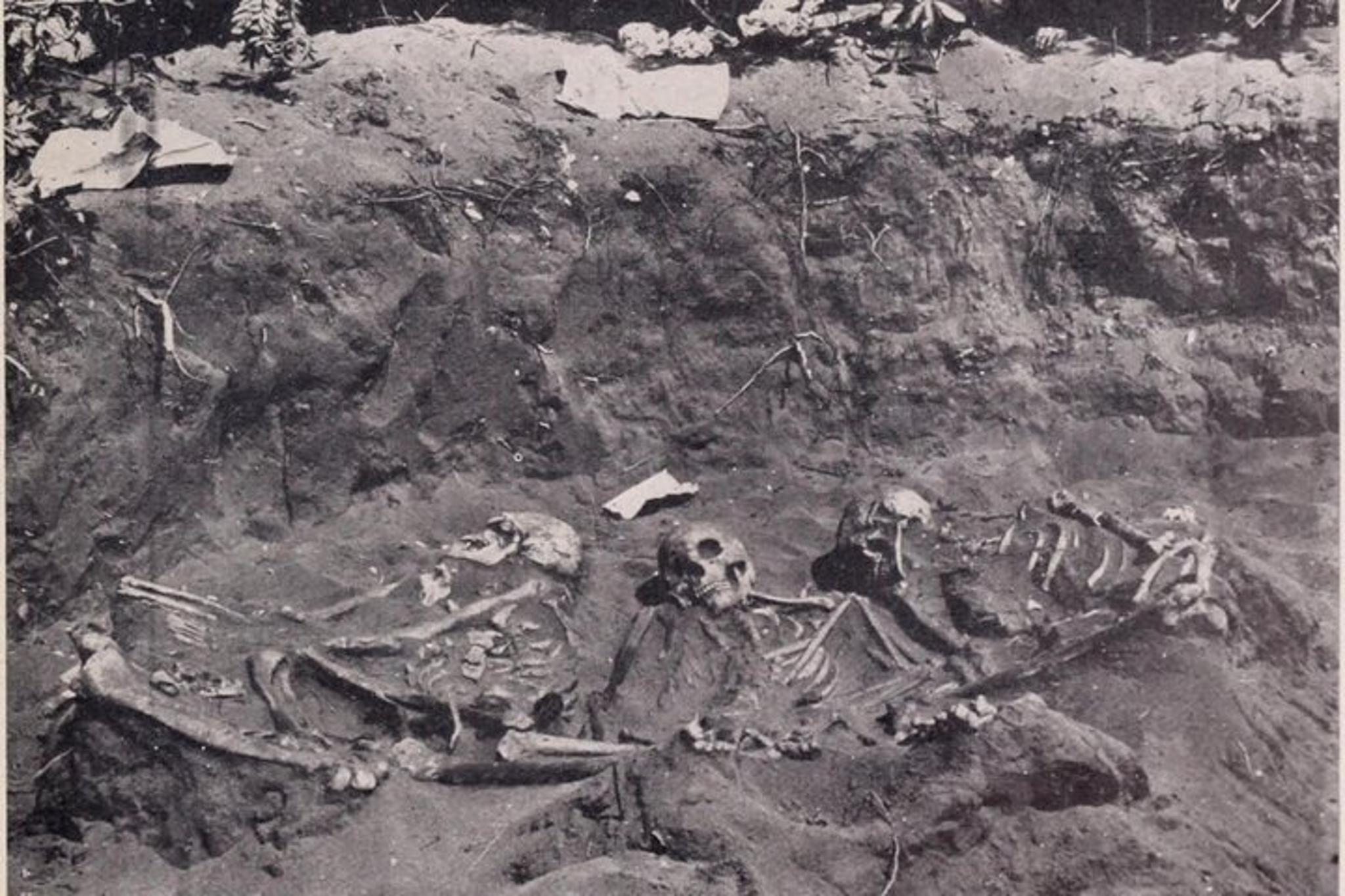 New York Death Tour in Lower Manhattan 165 min - Image 4