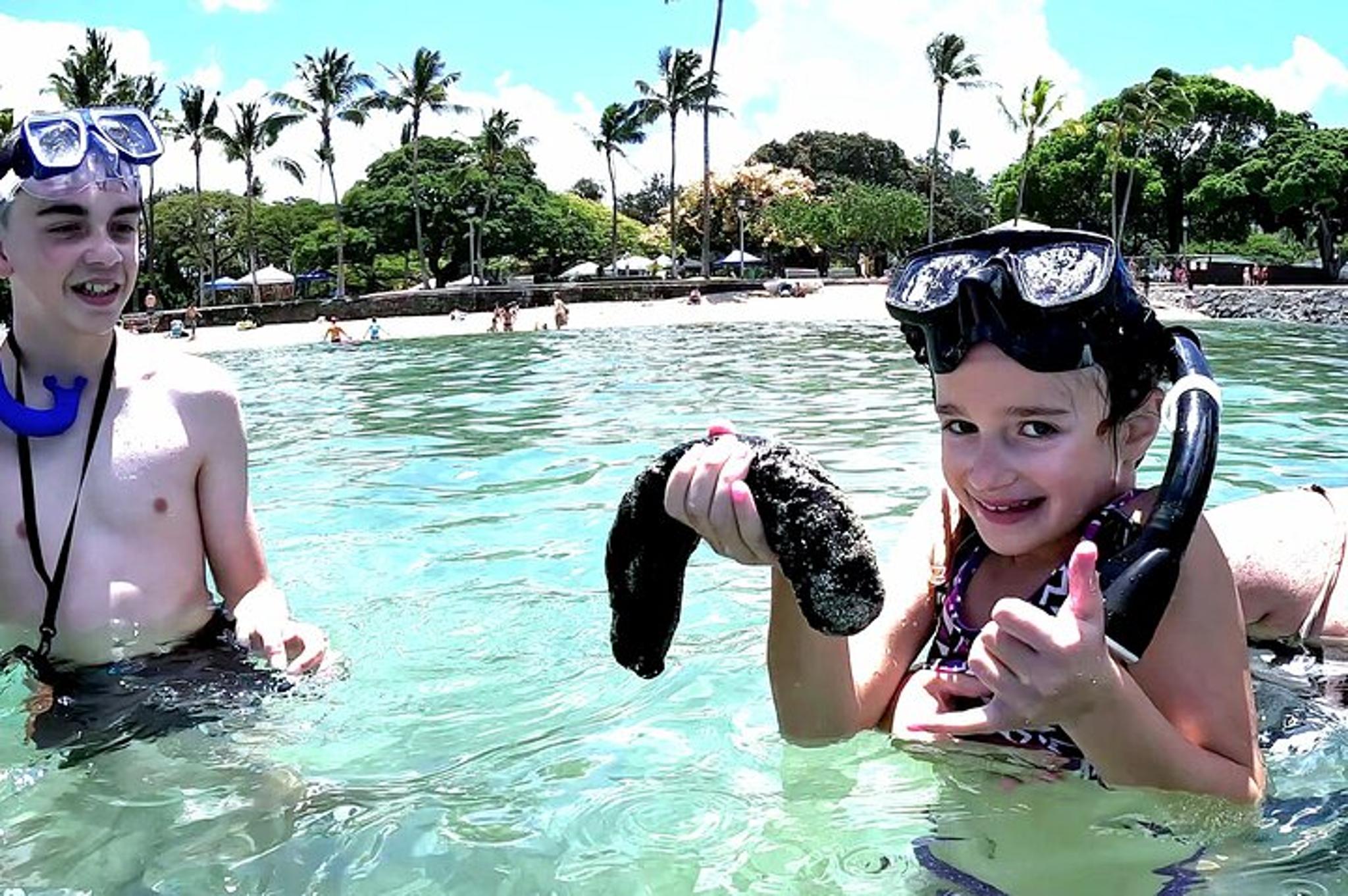 Waikiki Snorkeling Tour with Free Video & Pics 1 hr - Image 1