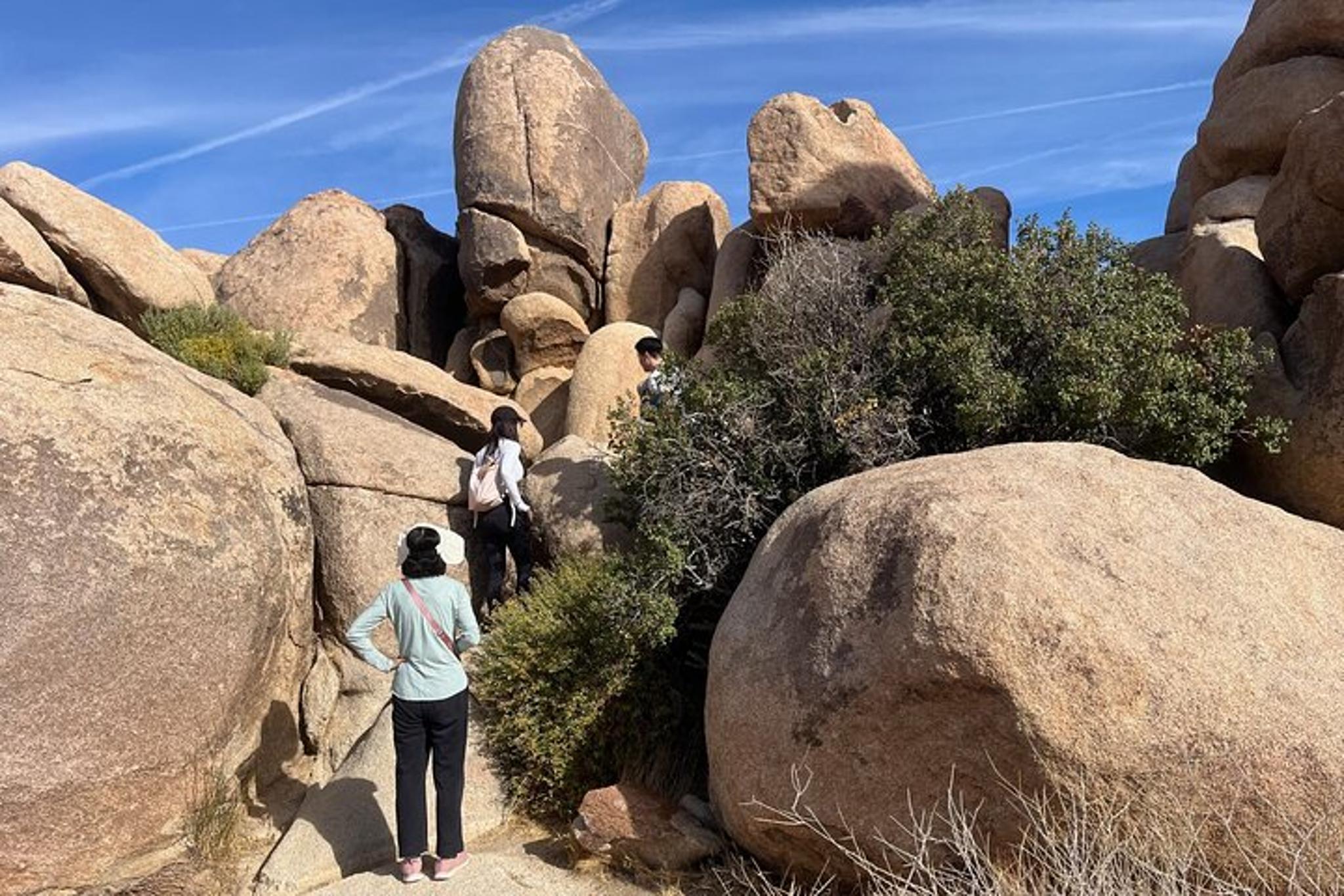 Joshua Tree National Park Sightseeing Tour - Image 5