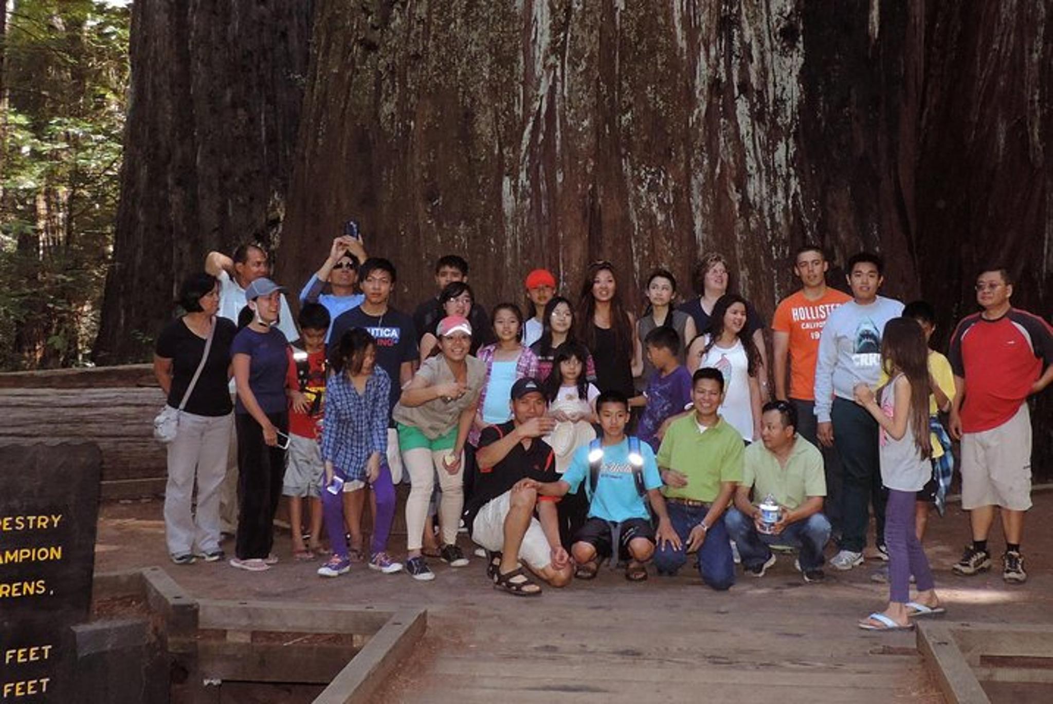 Redwood National Park Private Tour 3-Day Package - Image 4