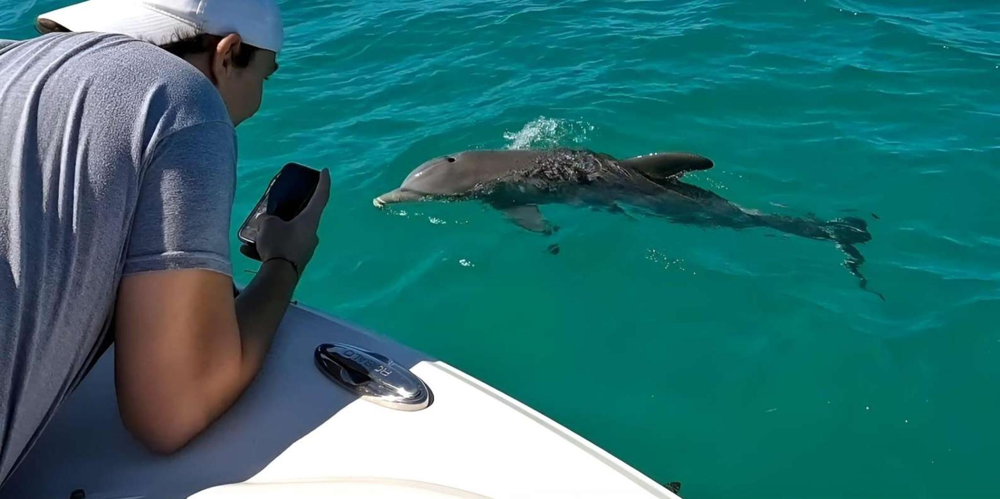 Key West Dolphin Sail and Snorkel Adventure - Image 4