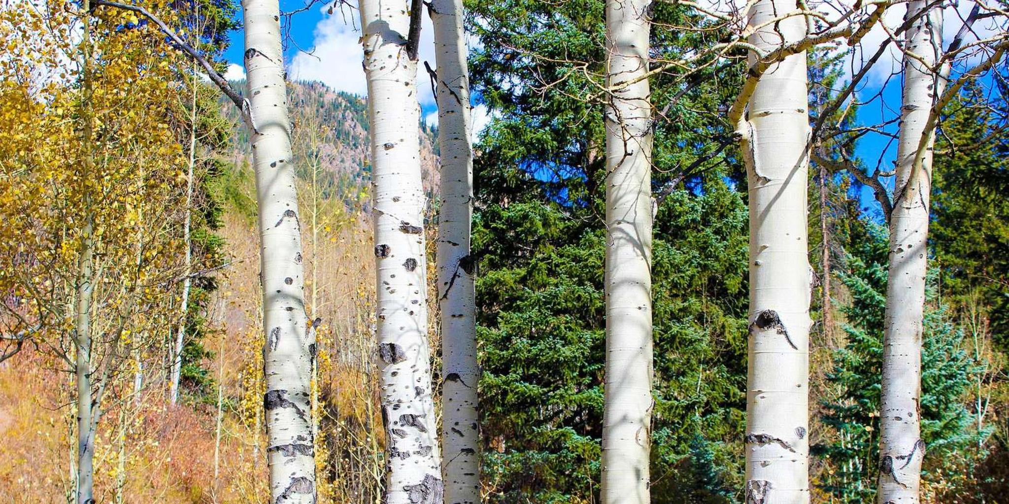 Denver Hiking Tour in the Rocky Mountains - Image 2