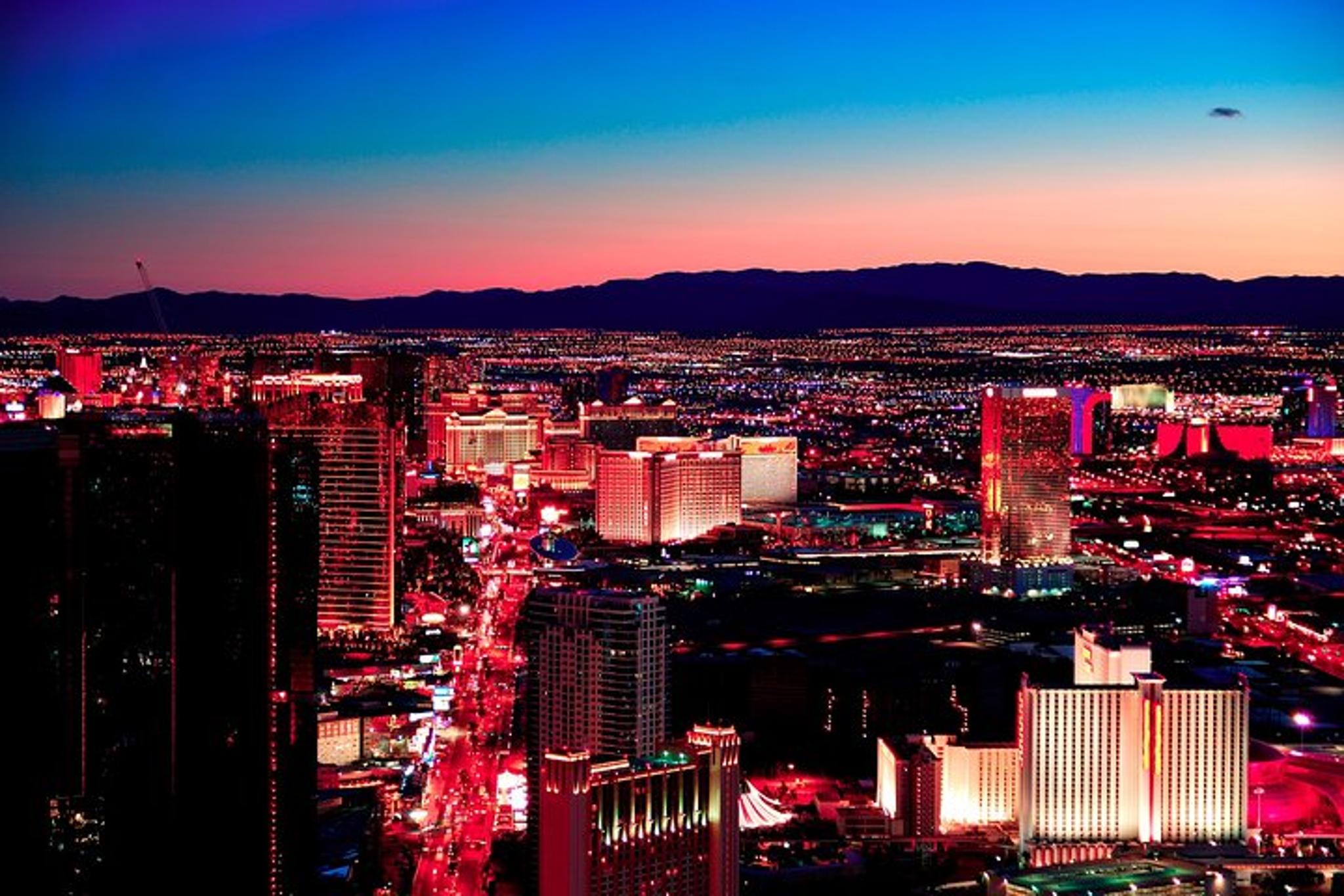 Las Vegas Virtual Scorpion and Black Widow Hunt - Image 5