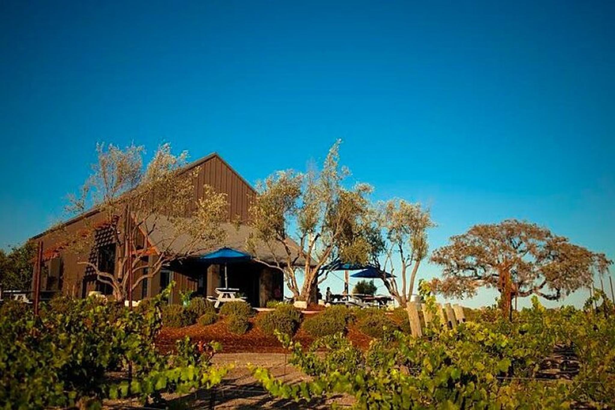 San Luis Obispo Wine Tour