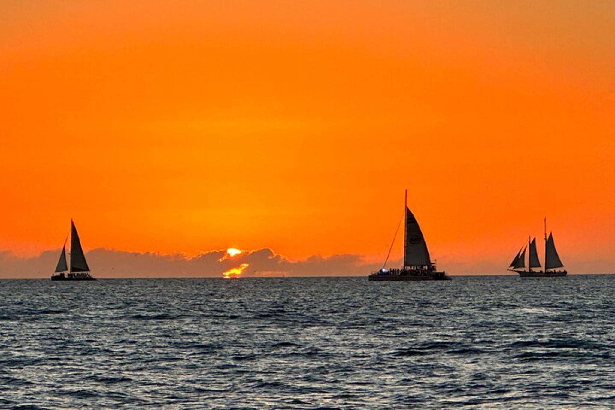 Panama City Dolphin and Sightseeing Tour - Image 6