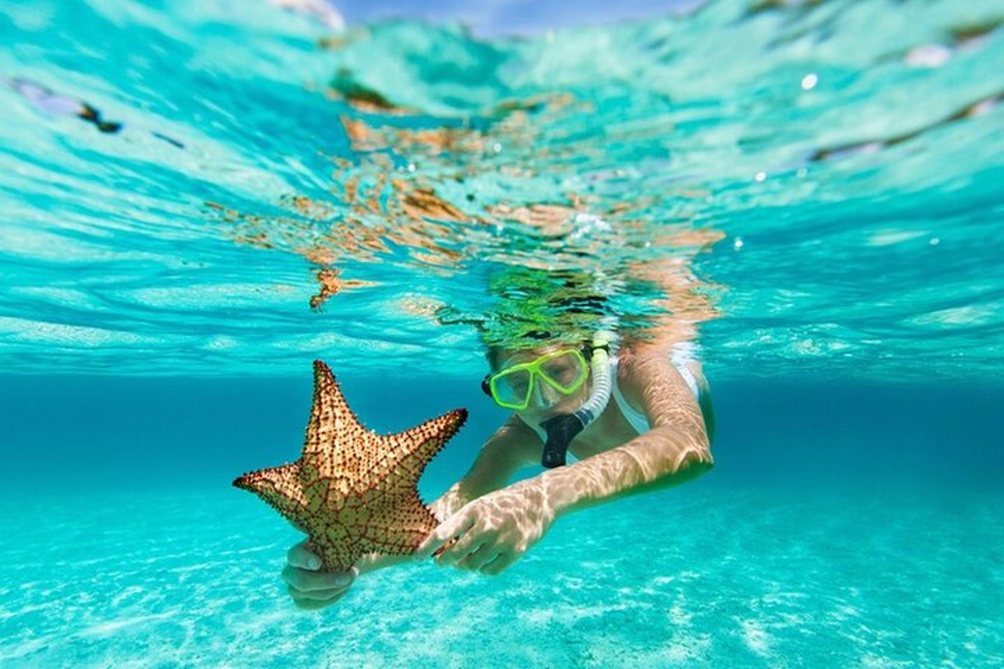 La Jolla Snorkel Package with Wetsuit Rental - Image 2