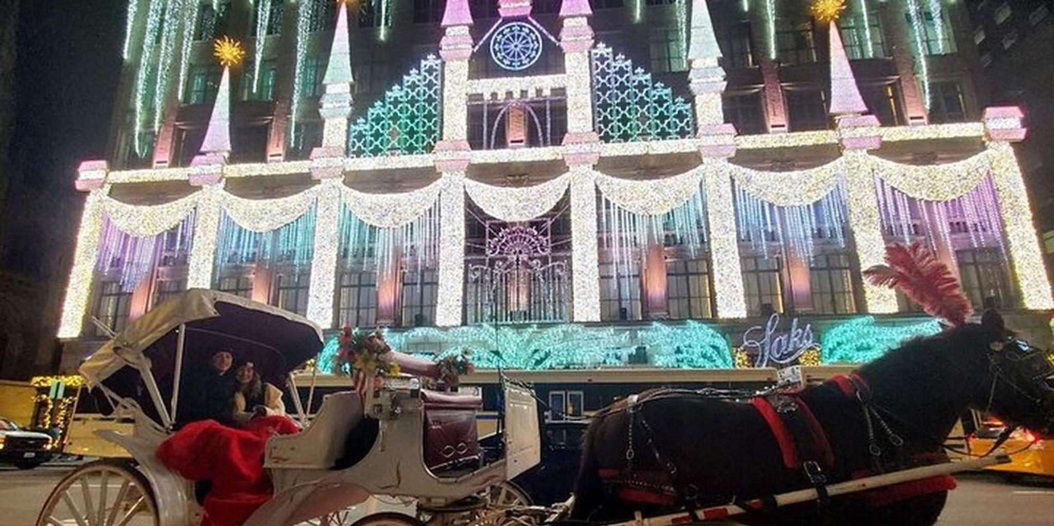 New York City Christmas Lights Horse Carriage Ride