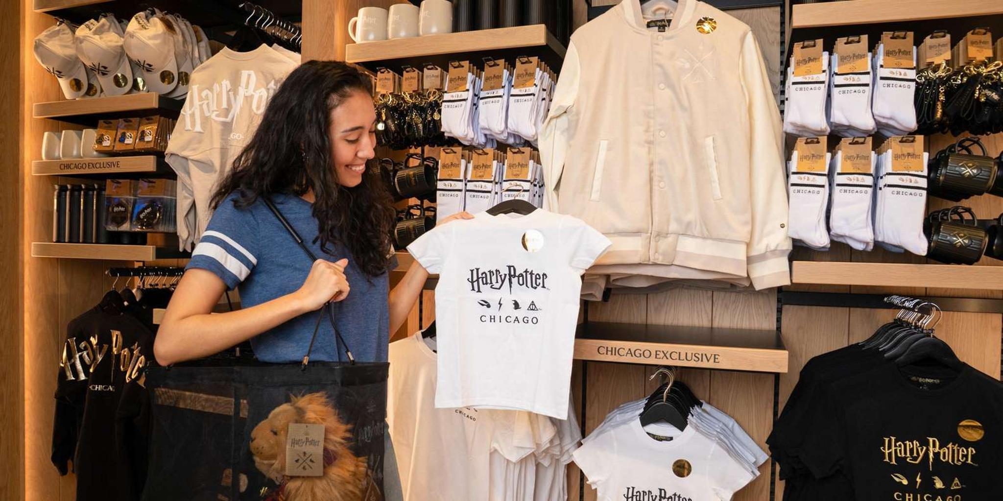 Chicago Harry Potter Shop Tour 1 hr - Image 5